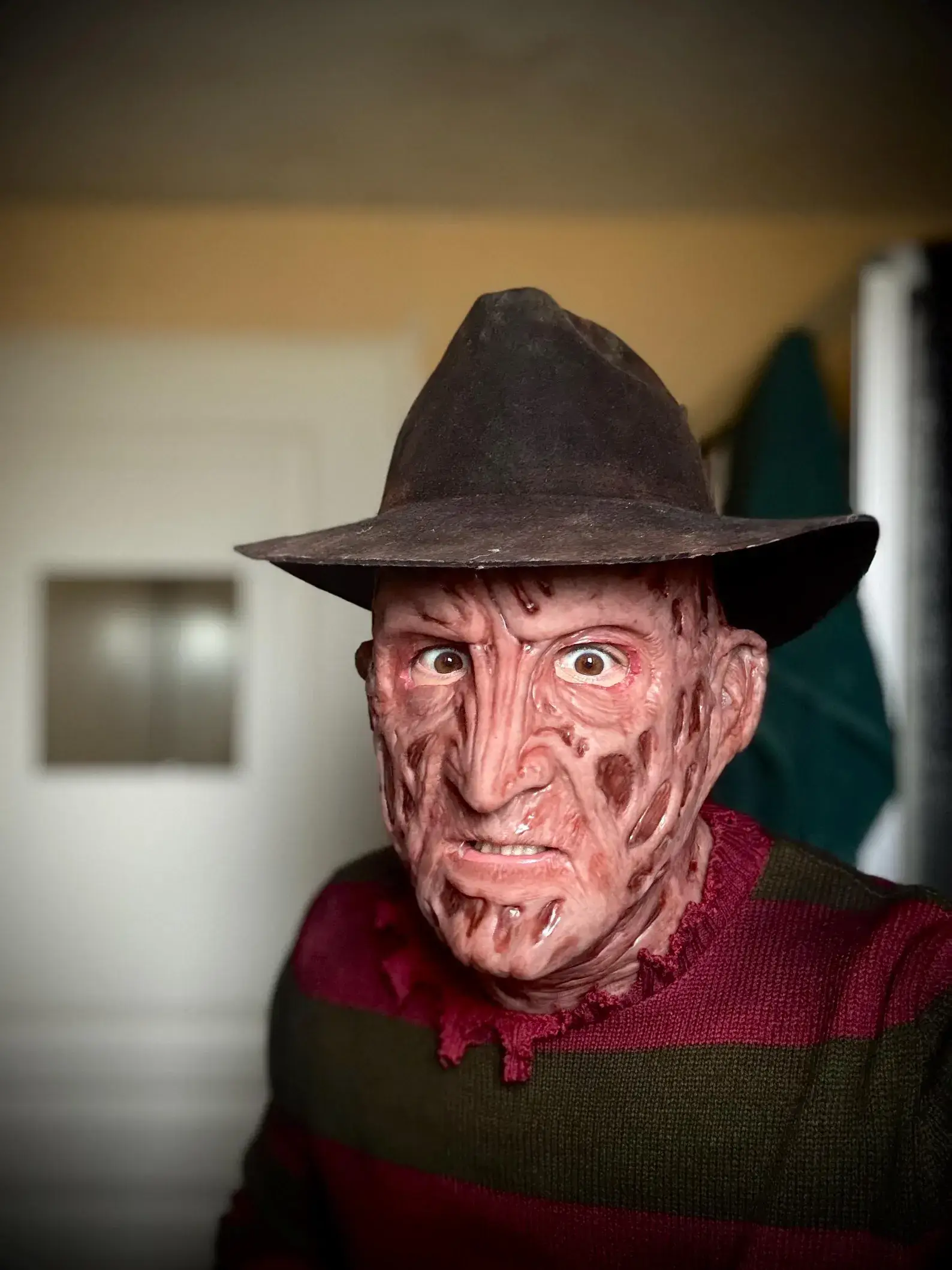 Freddy 2003