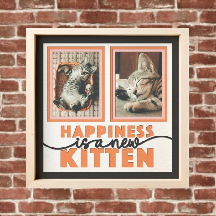 Framed Kitten Wall Art