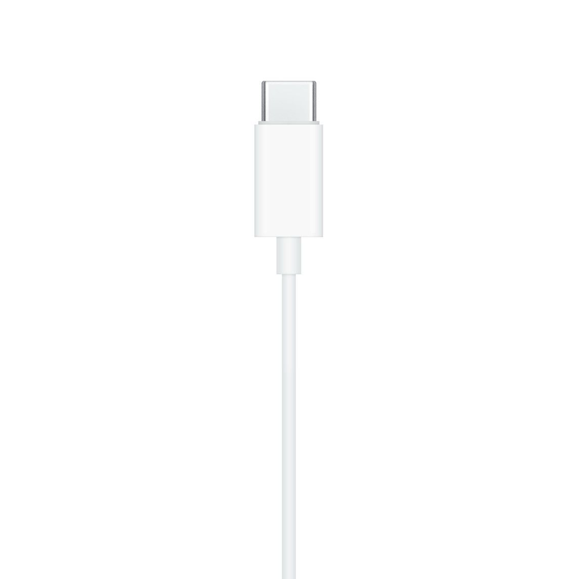 Ear Phones USB-C