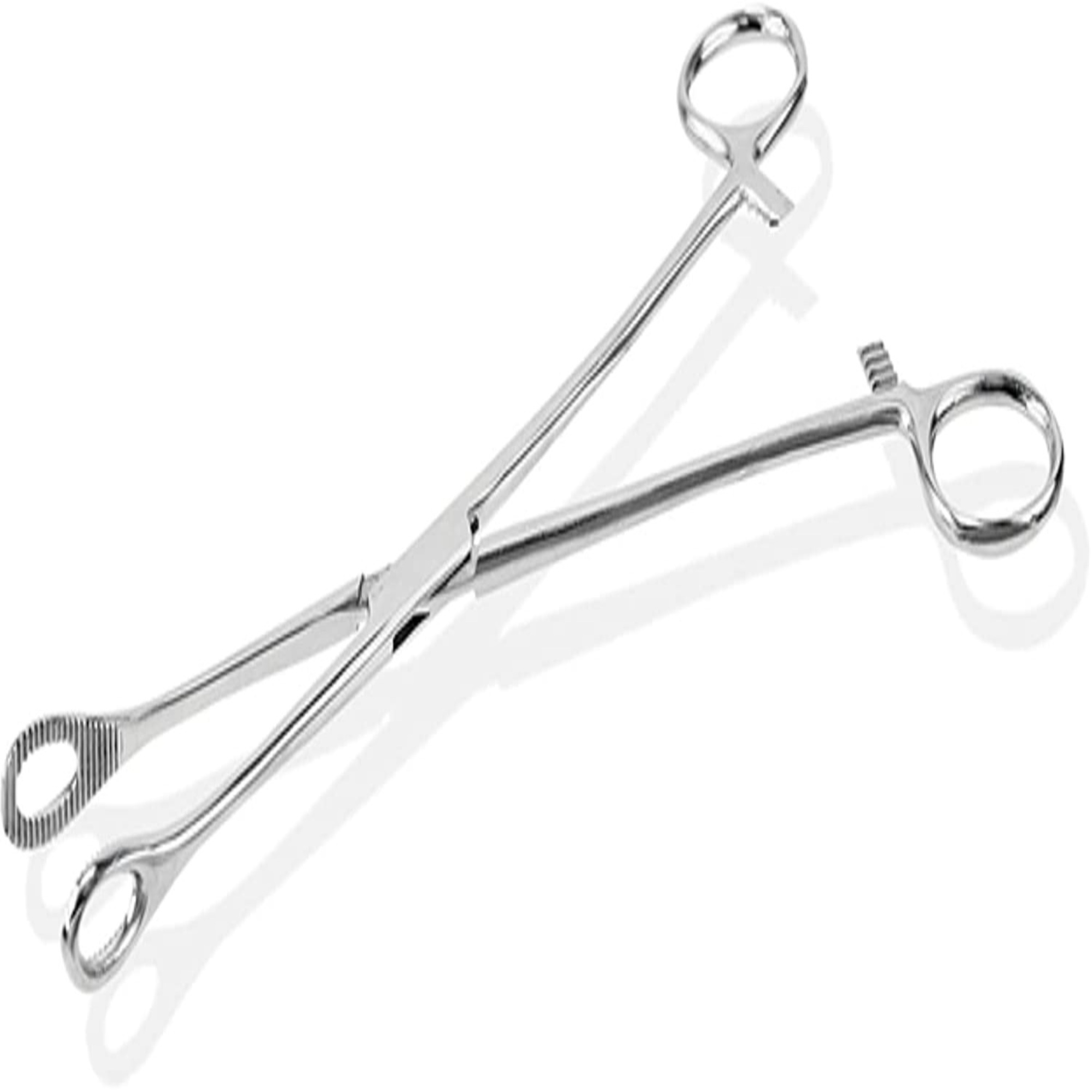 Agarwals Sponge Holding Forcep 