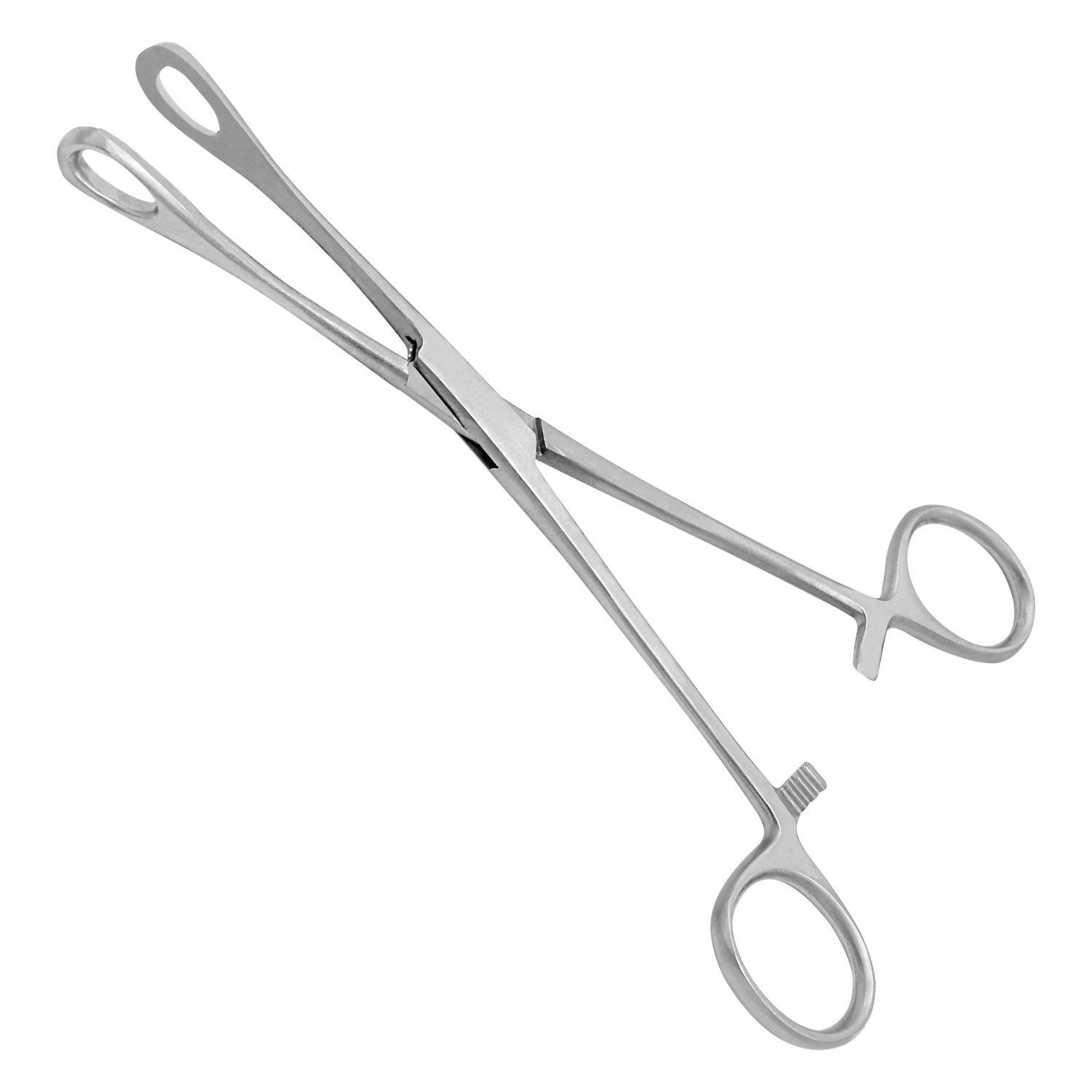 Agarwals Sponge Holding Forcep 
