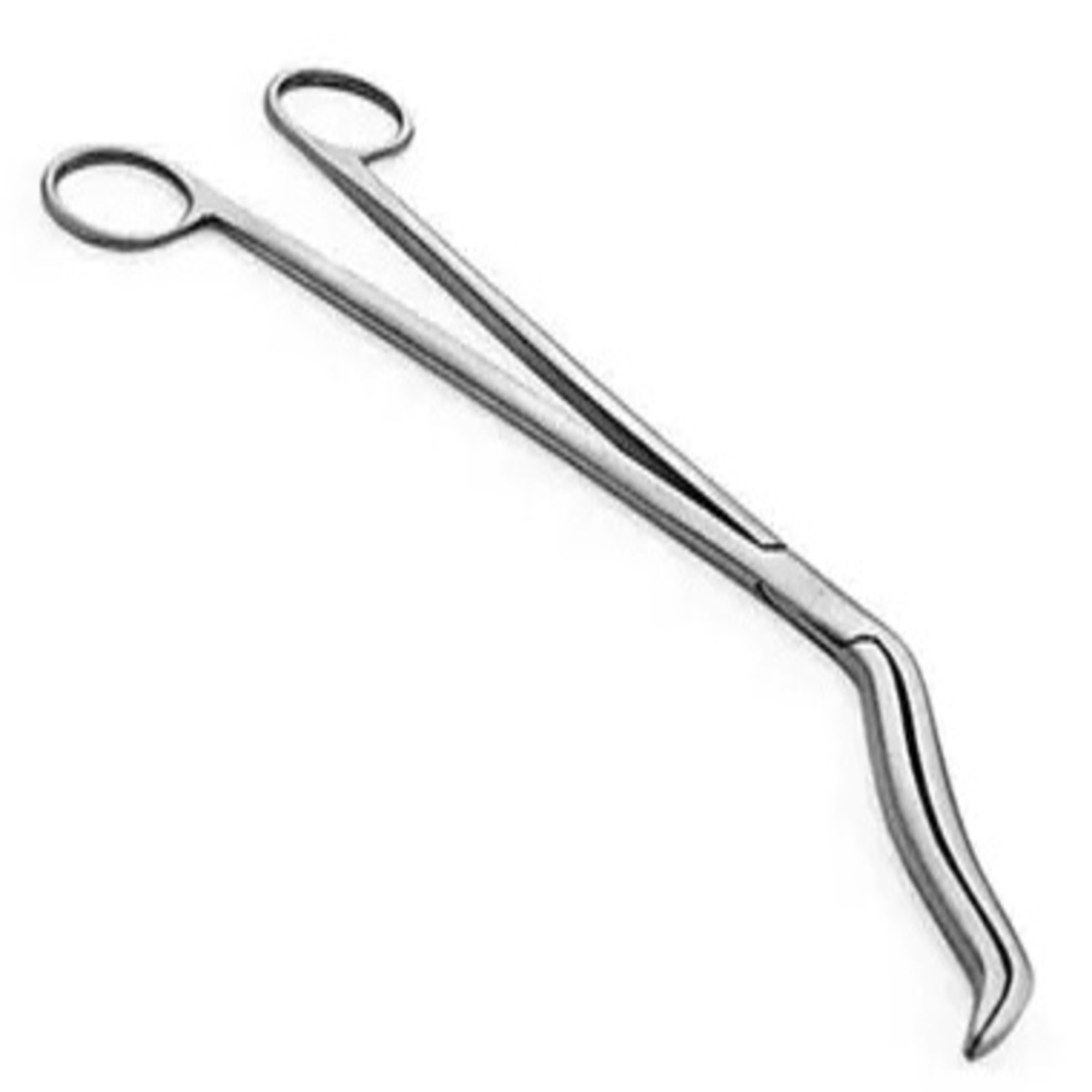 Agarwals Cheatle Forceps