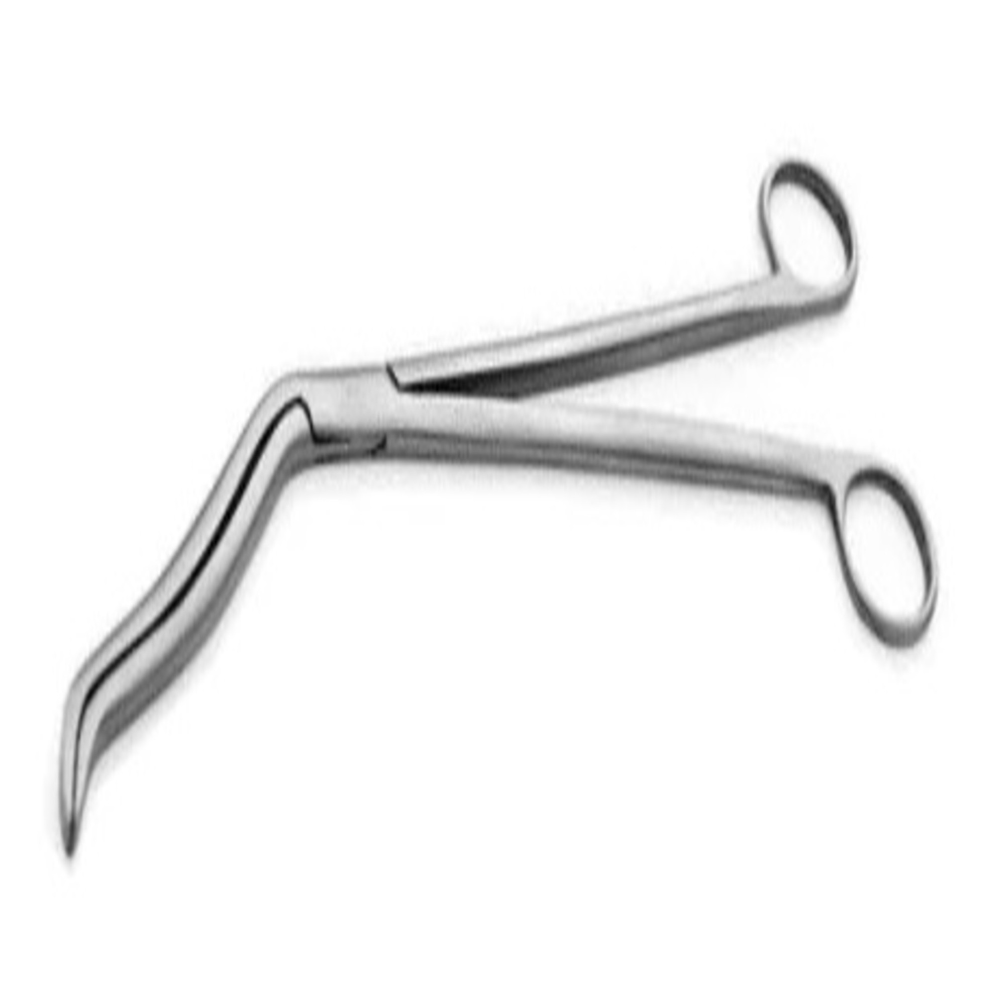 Agarwals Cheatle Forceps