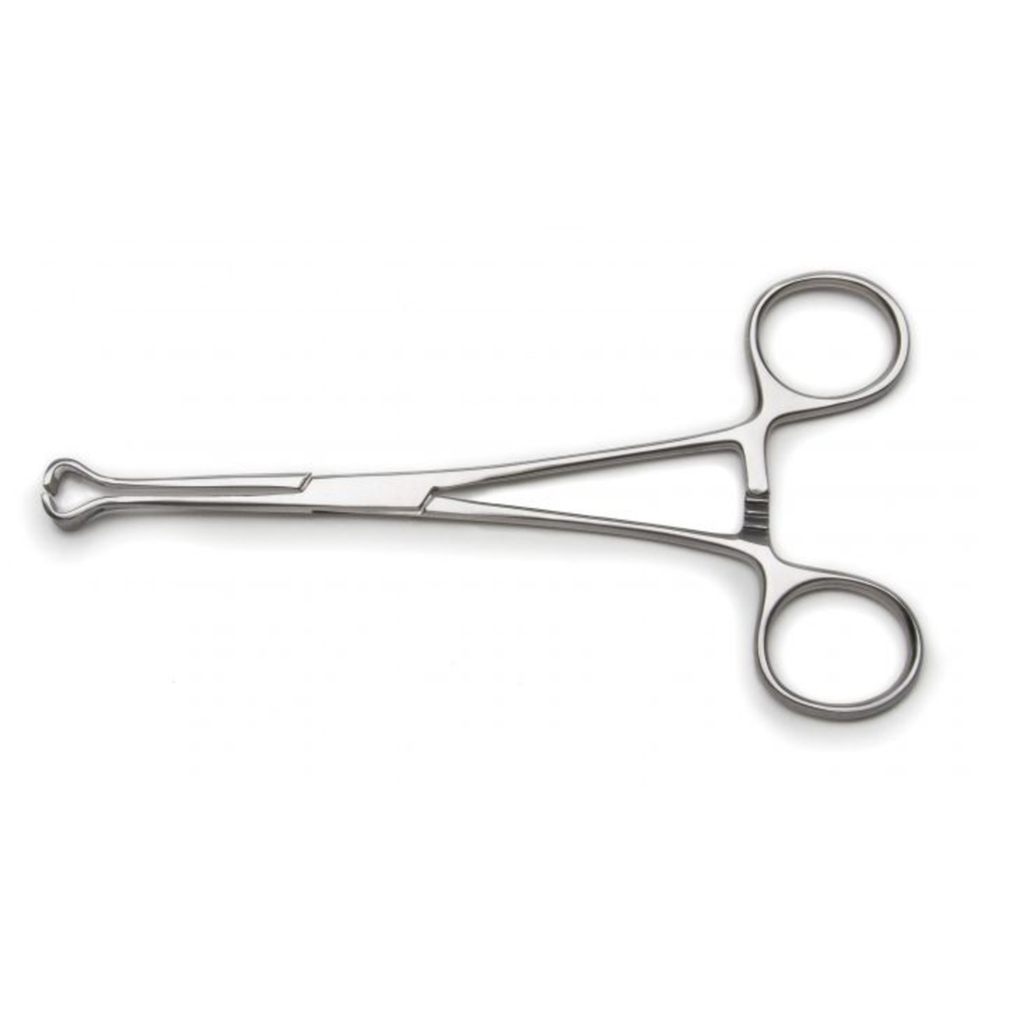 Agarwals Babcock Tissue Forcep 
