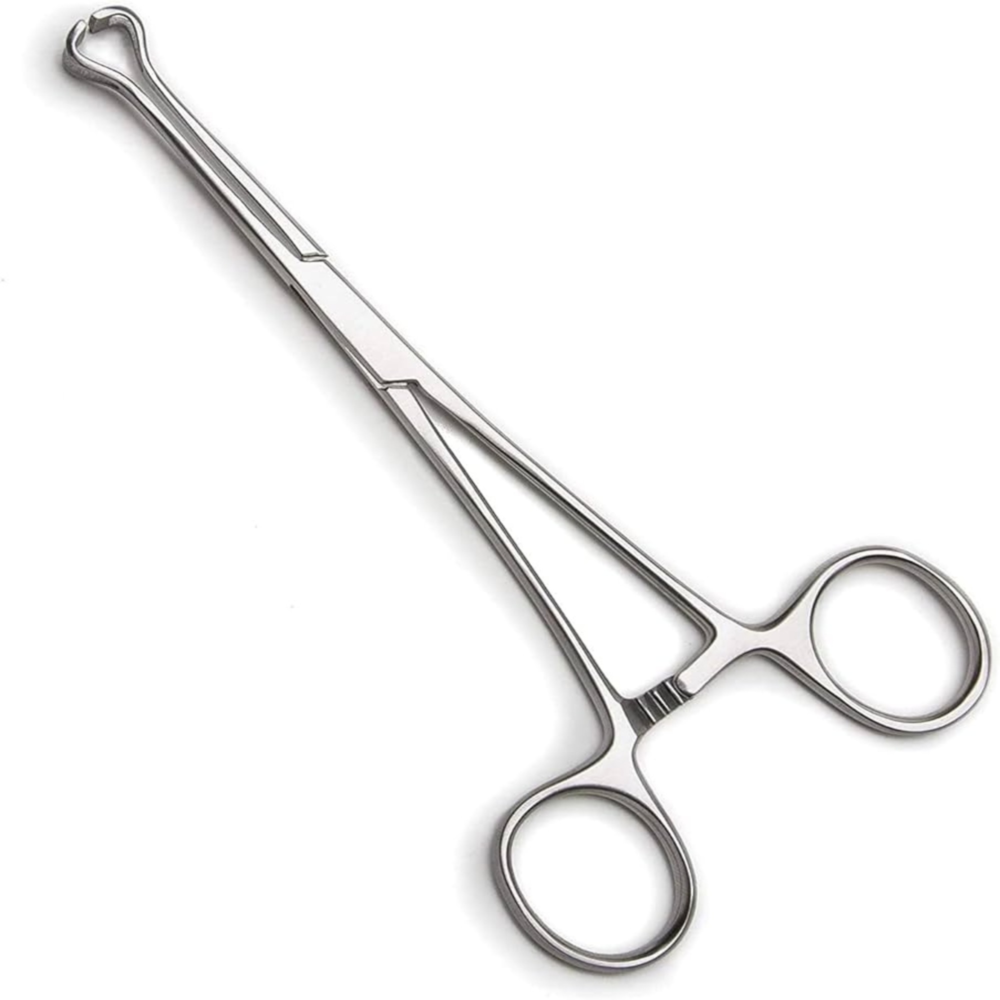 Agarwals Babcock Tissue Forcep 