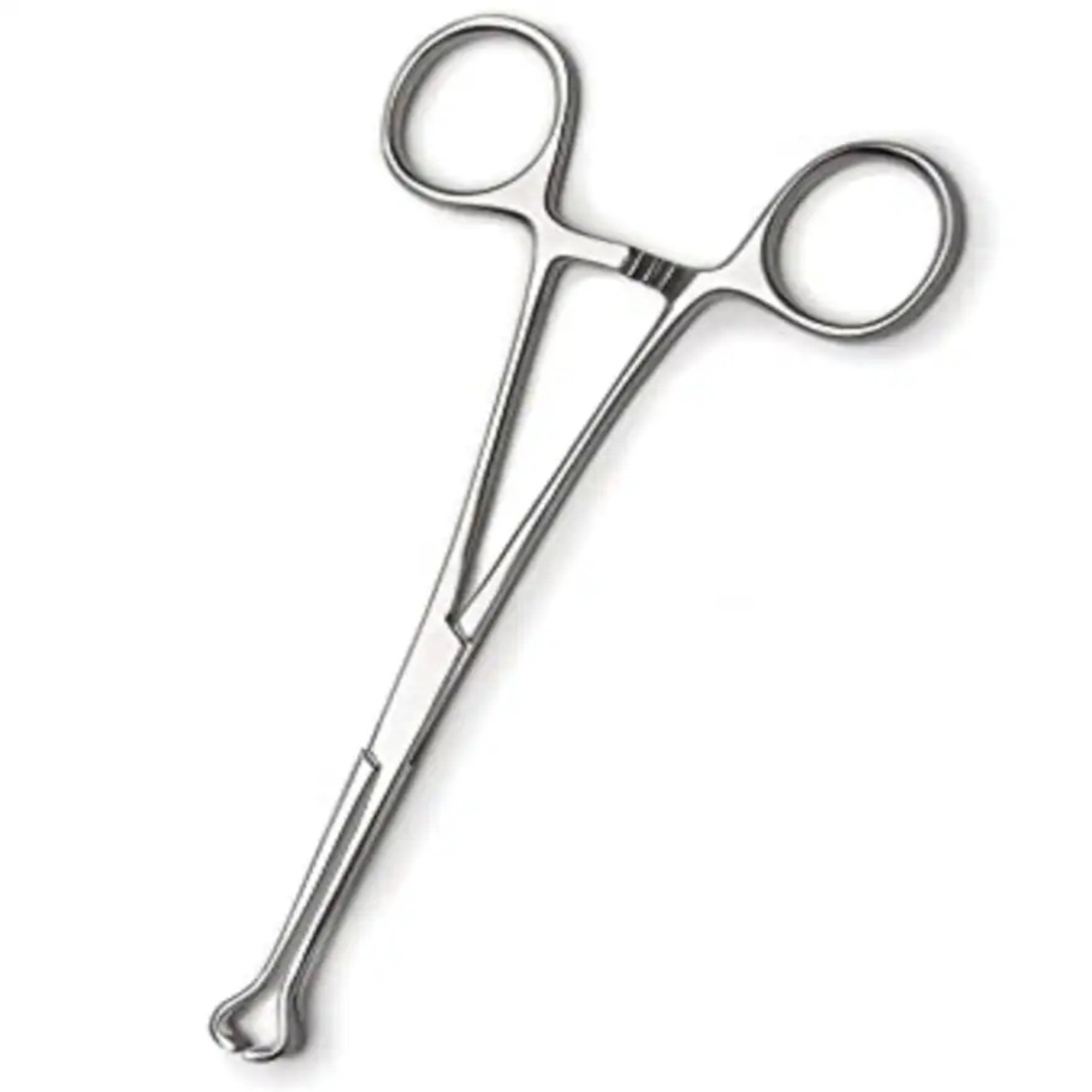 Agarwals Babcock Tissue Forcep 