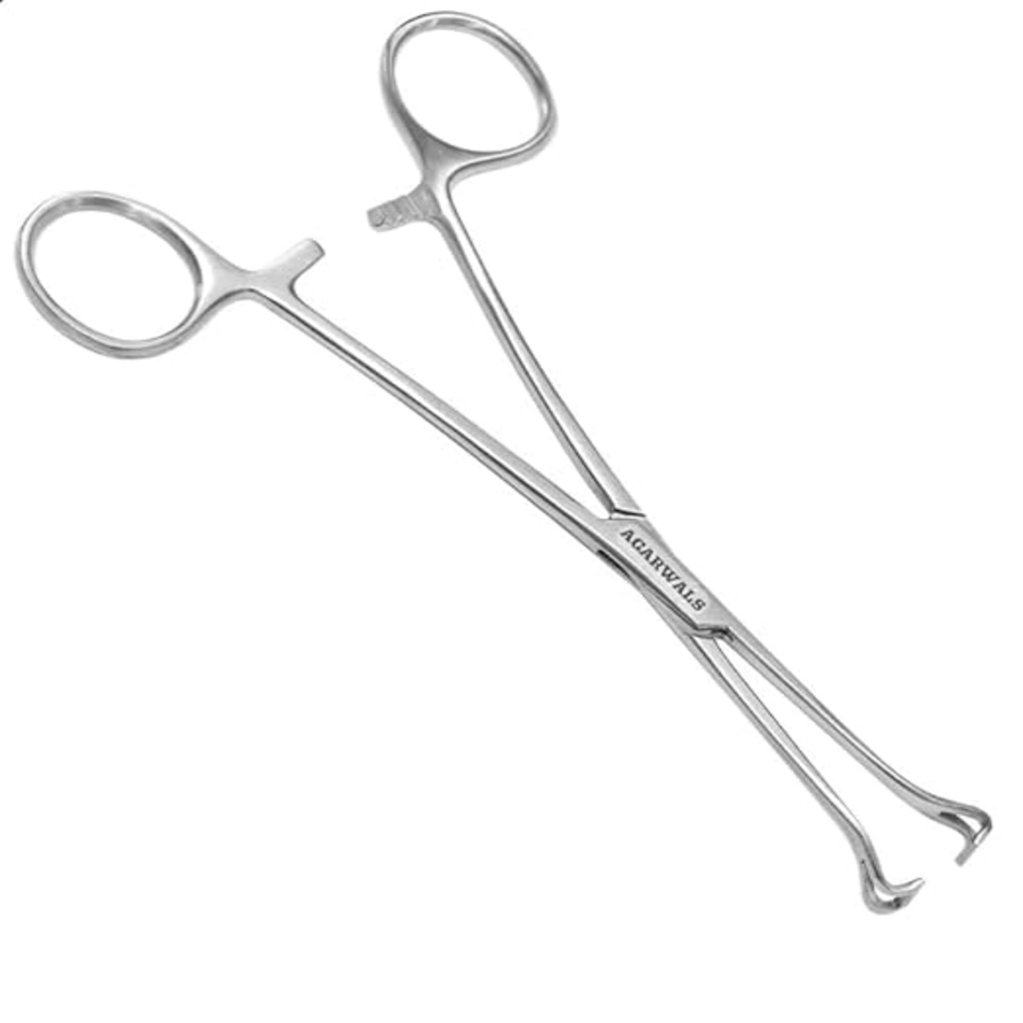 Agarwals Babcock Tissue Forcep 
