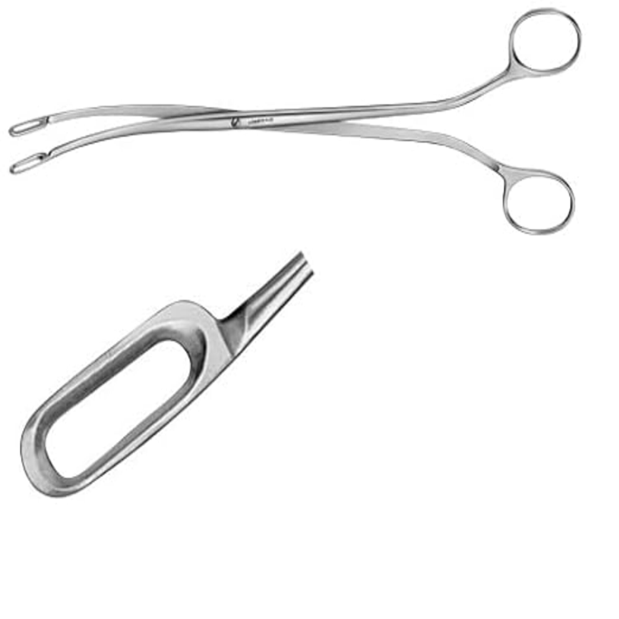 Agarwals Desjardine Gall Stone Holding Forcep 9"
