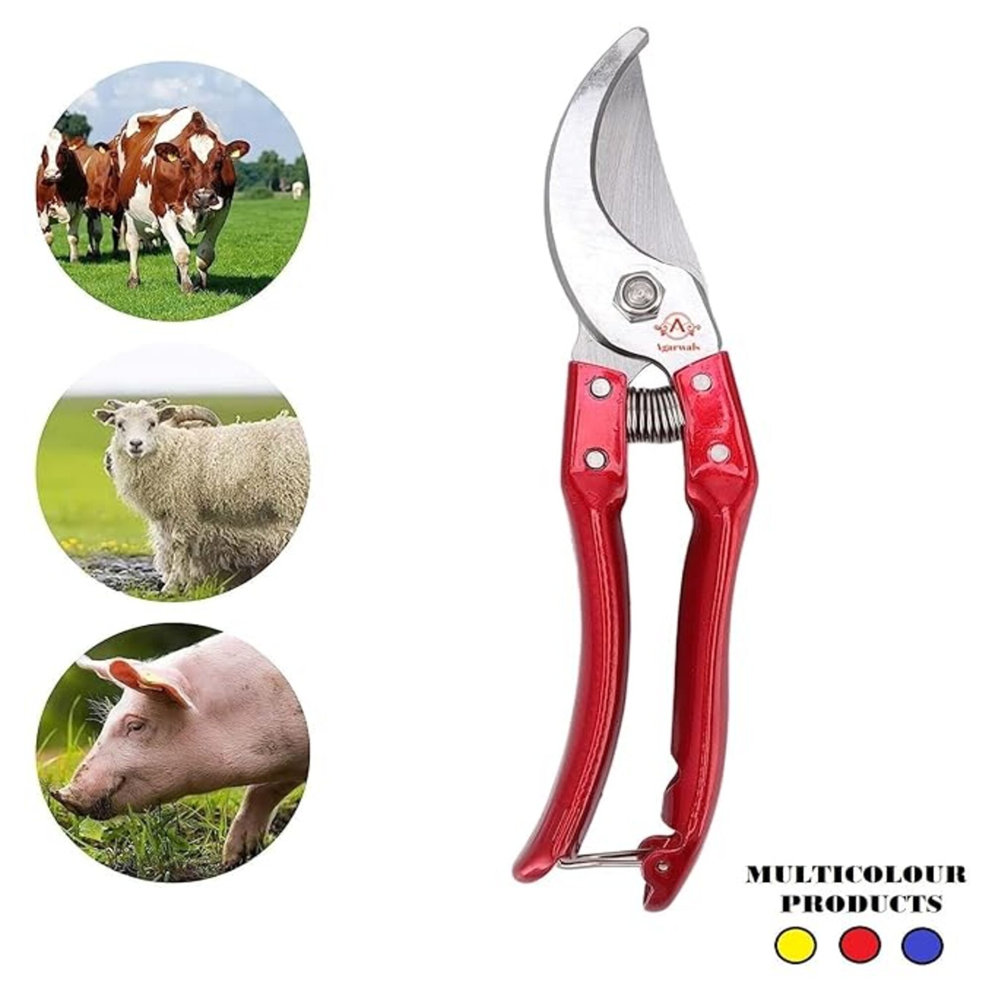 Agarwals Hoof Cutting Scissor Shears Manual for Cow , Horse, Pig, Goat and Sheep
