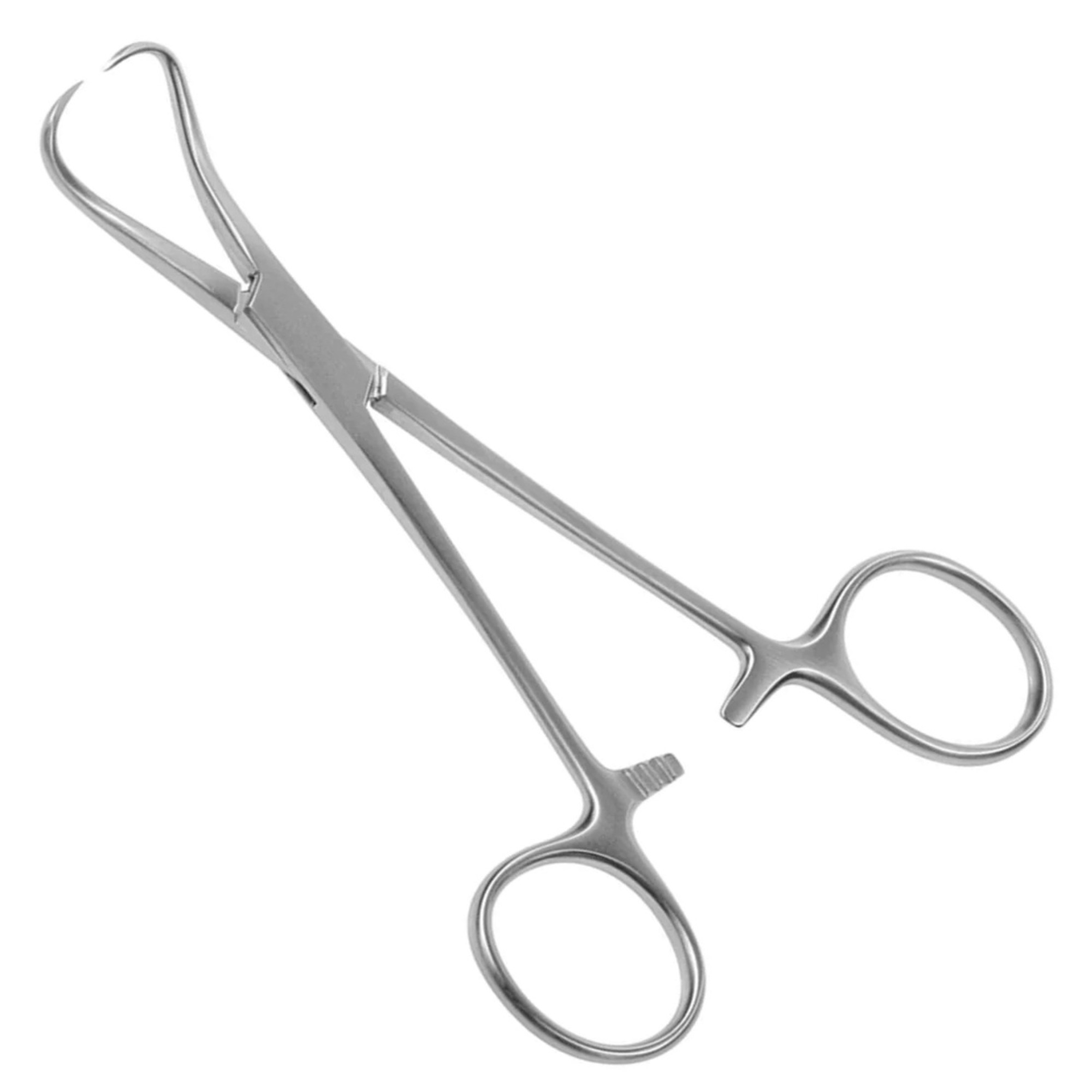 Agarwals Backhaus Towel Clip 6"