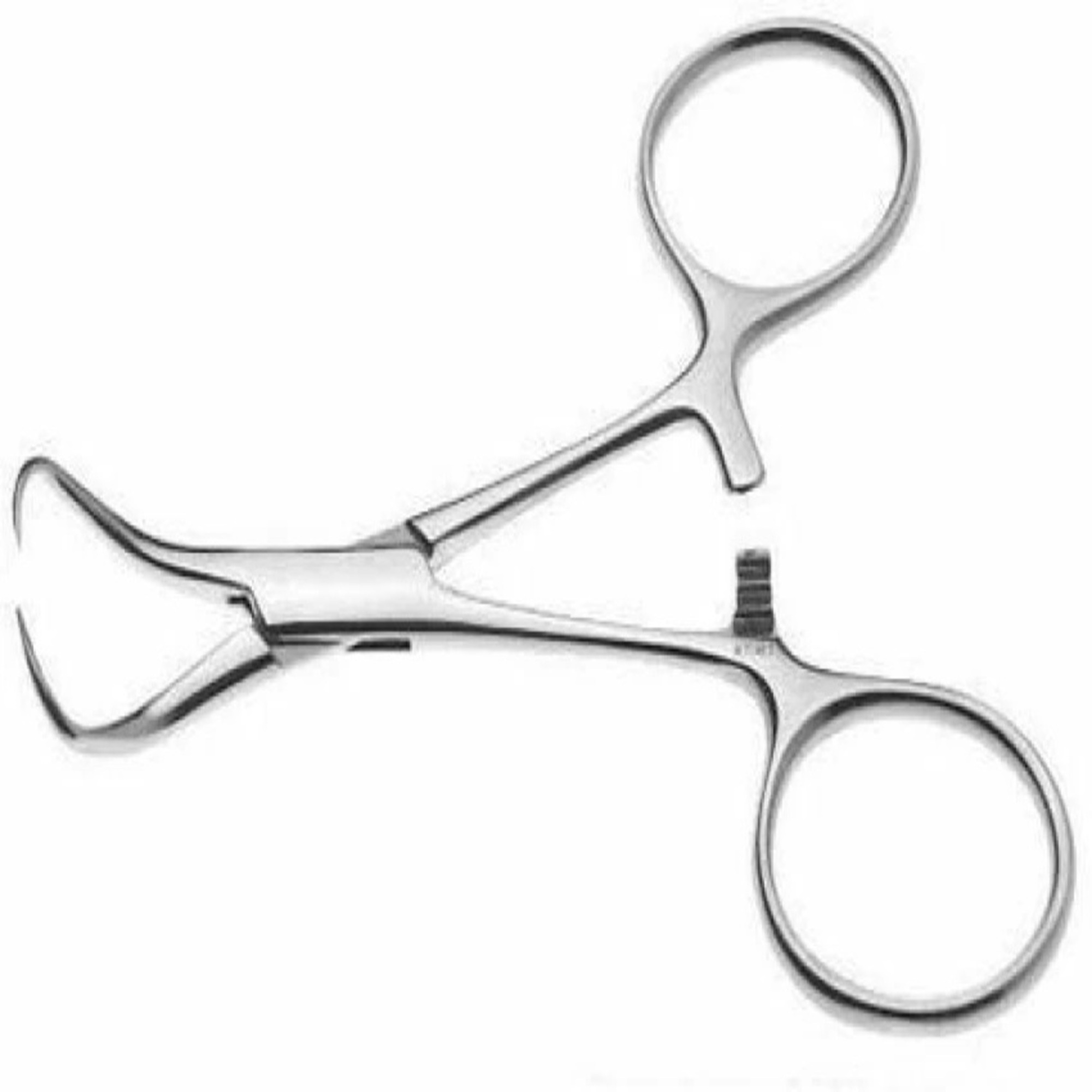 Agarwals Backhaus Towel Clip 6"