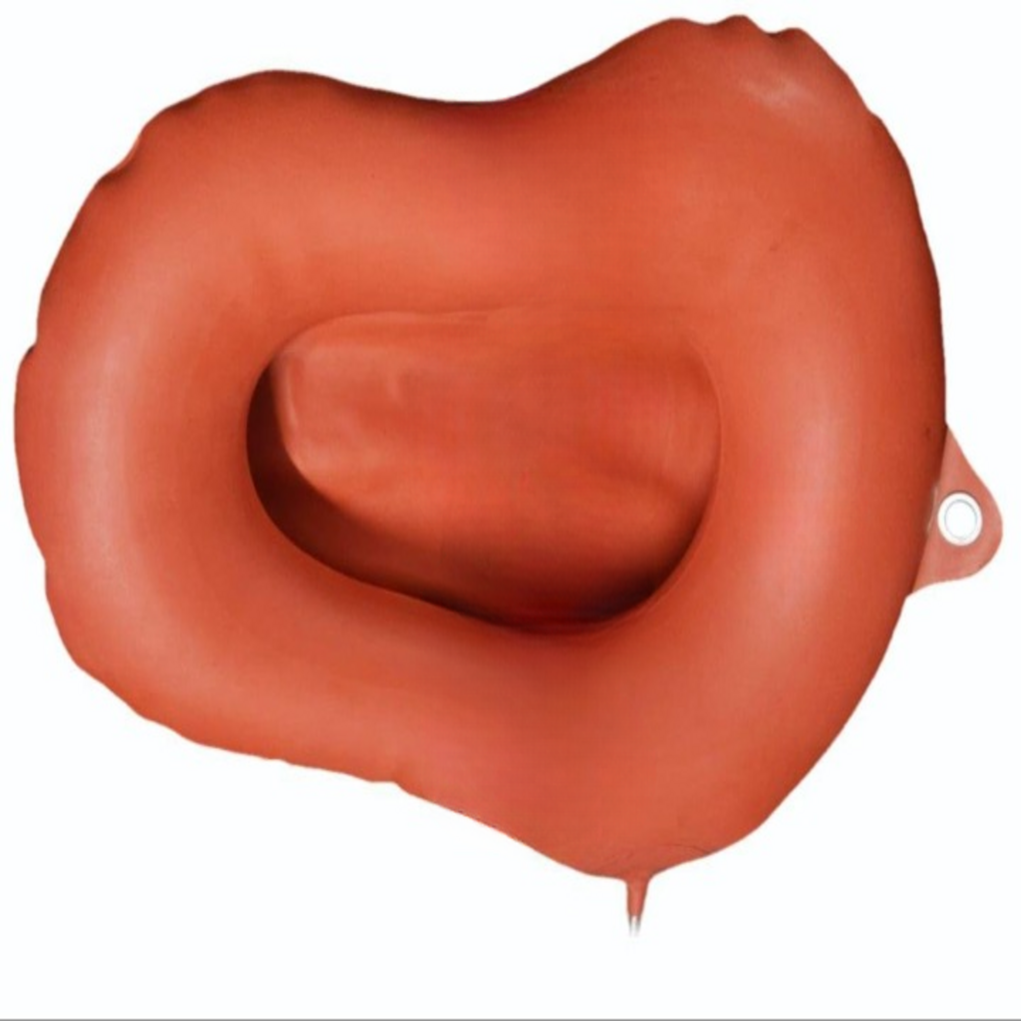 Agarwals Rubber Bed Pan National With Automizer Bulb