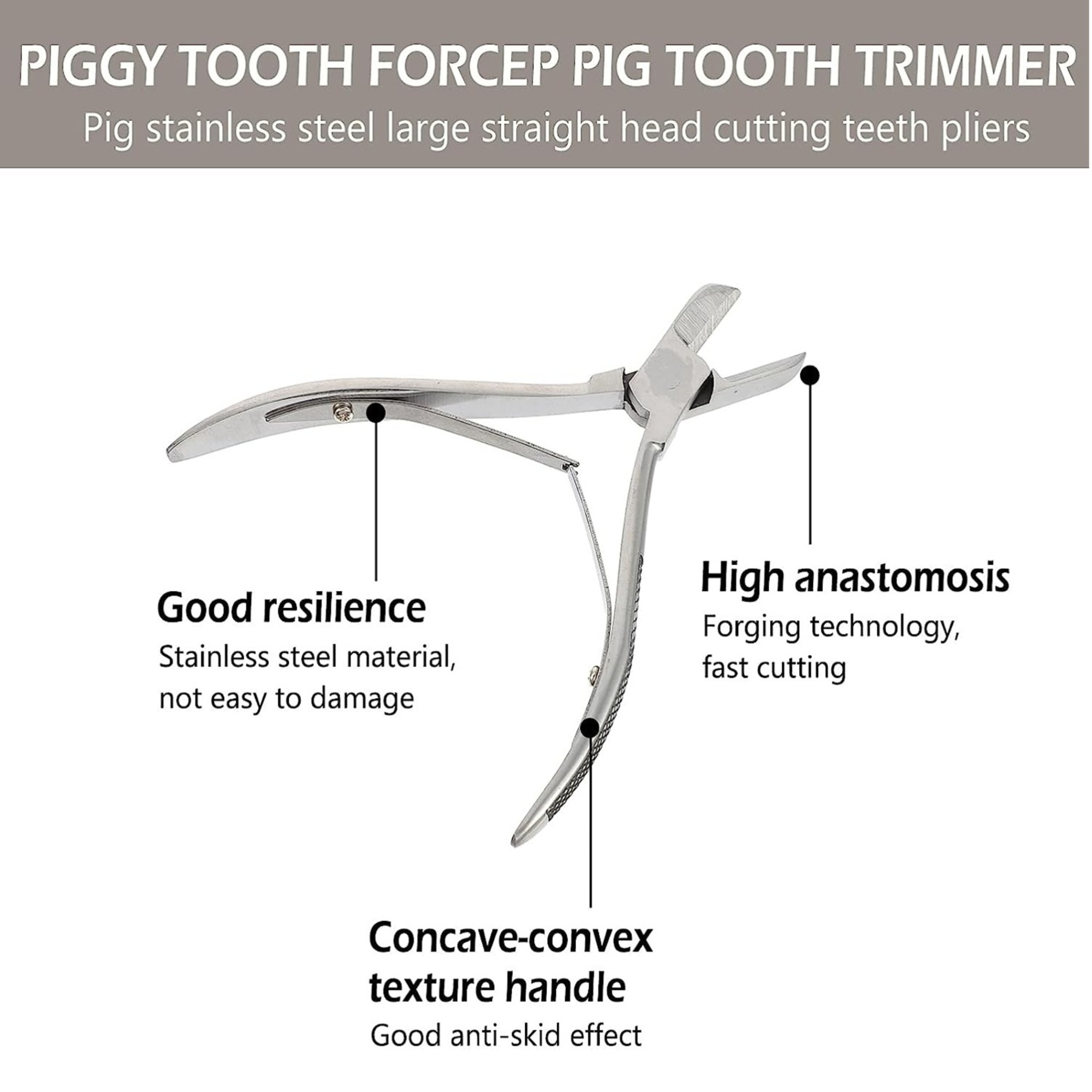Agarwals Tooth Cutter for Dog Piglet Rabbit 12.5cm/4.9" 