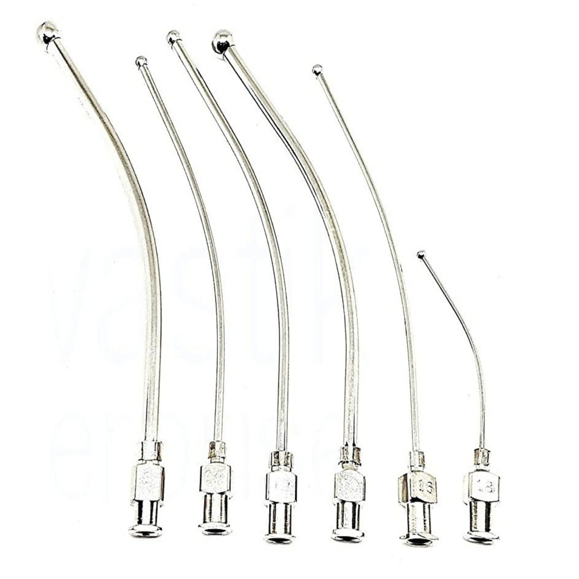 Agarwals Feeding Needle & Syringe Kit SS for Finch Canary Lovebirds Grey Parrot & Macaw