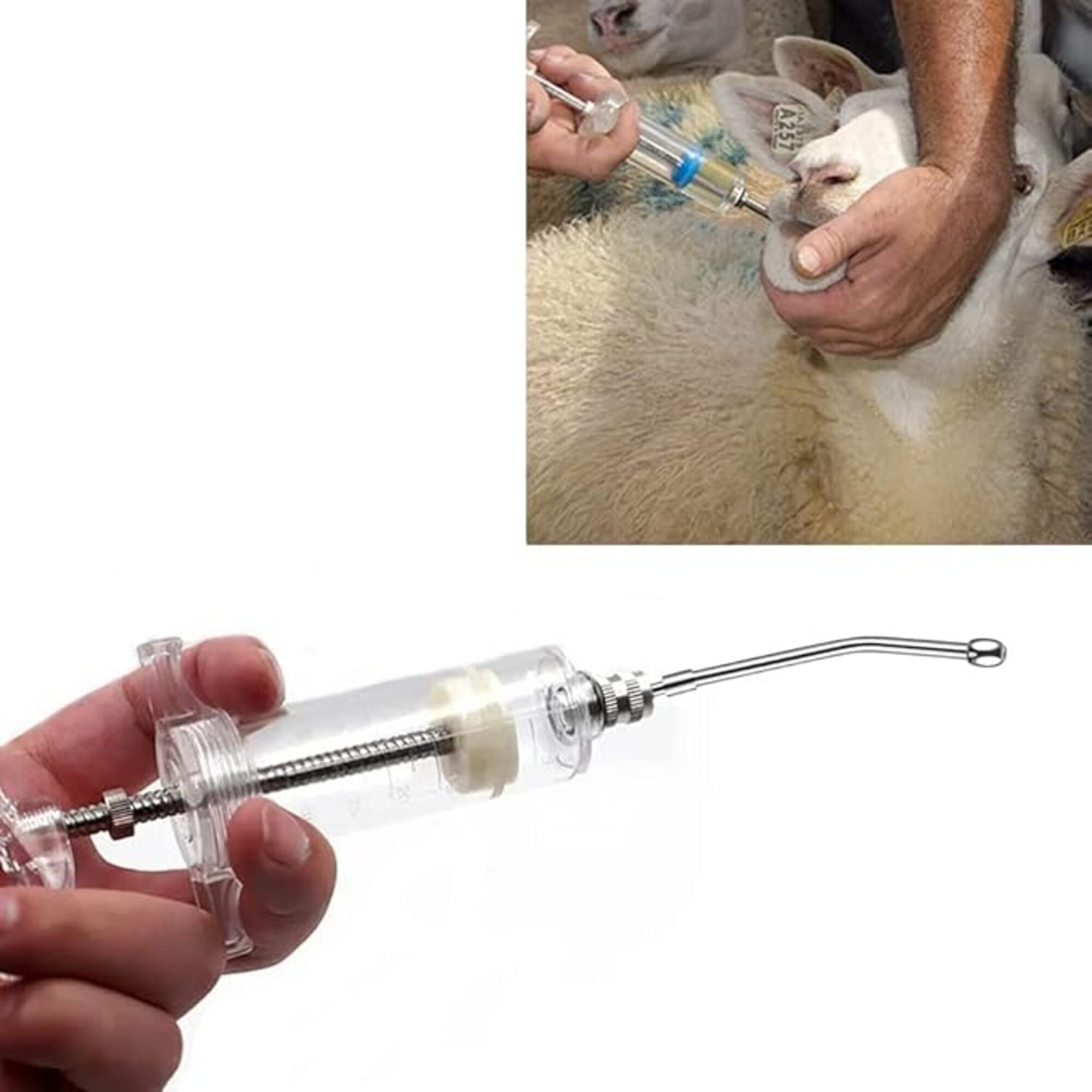 Agarwals 20ml Oral Feeding Syringe Transparent Luer Lock for Veterinary Use