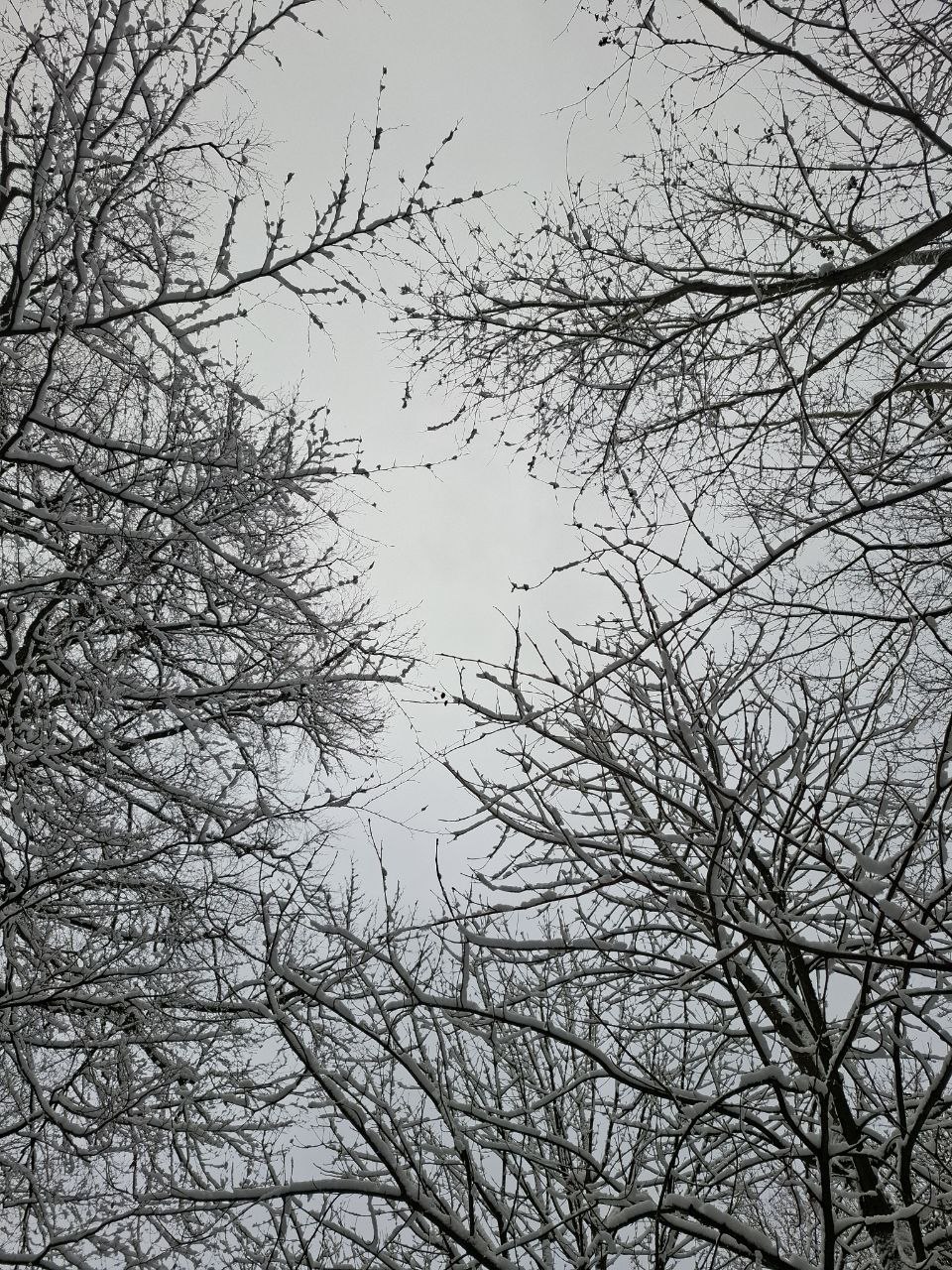 WIE SCHNEE, DER IN MIR FÄLLT