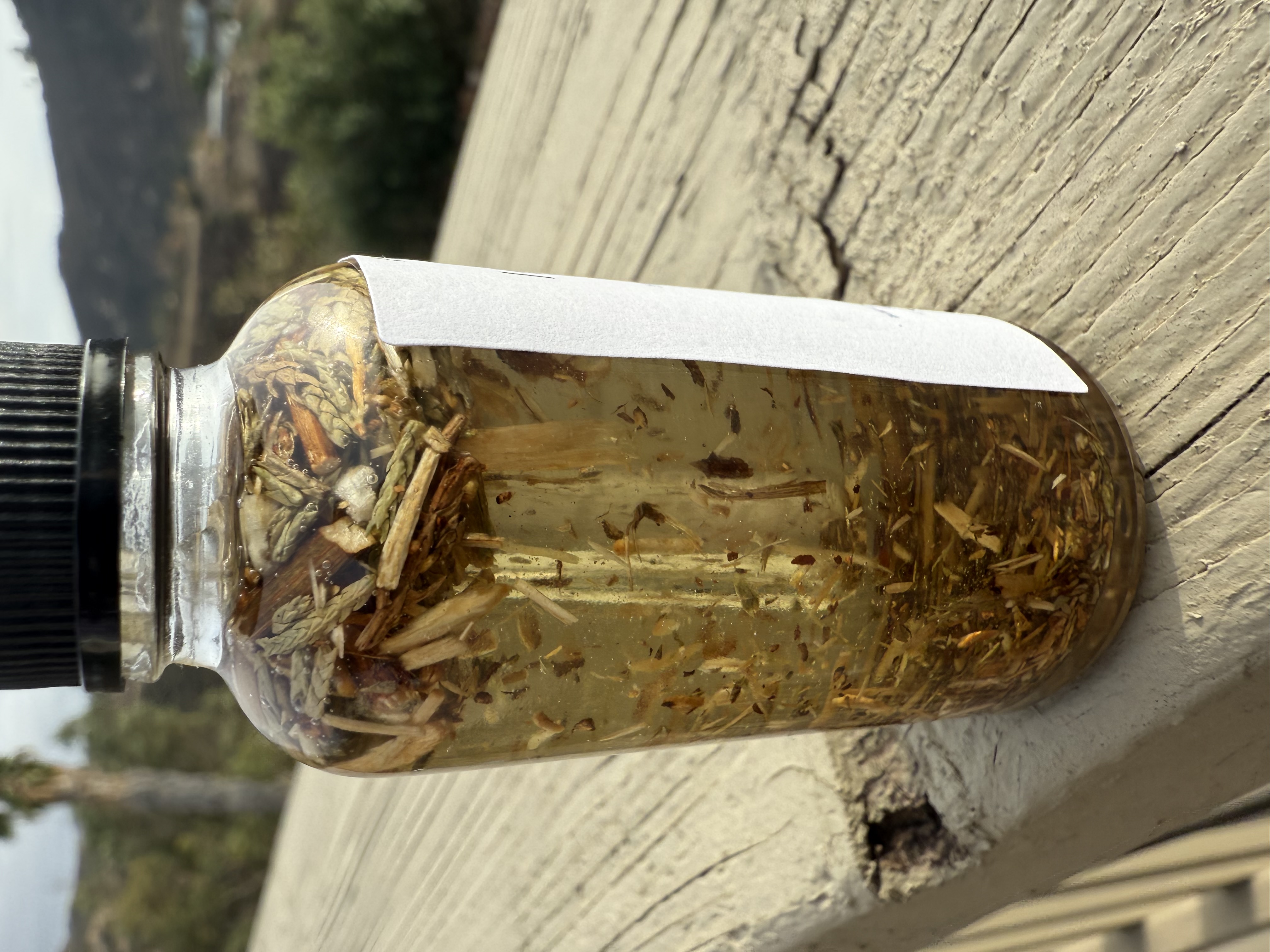 Hyssop Ritual Oil- The Holy Herb for Protection, Purification, Spiritual Transformation, Unhex/Uncross. Spiritual Growth