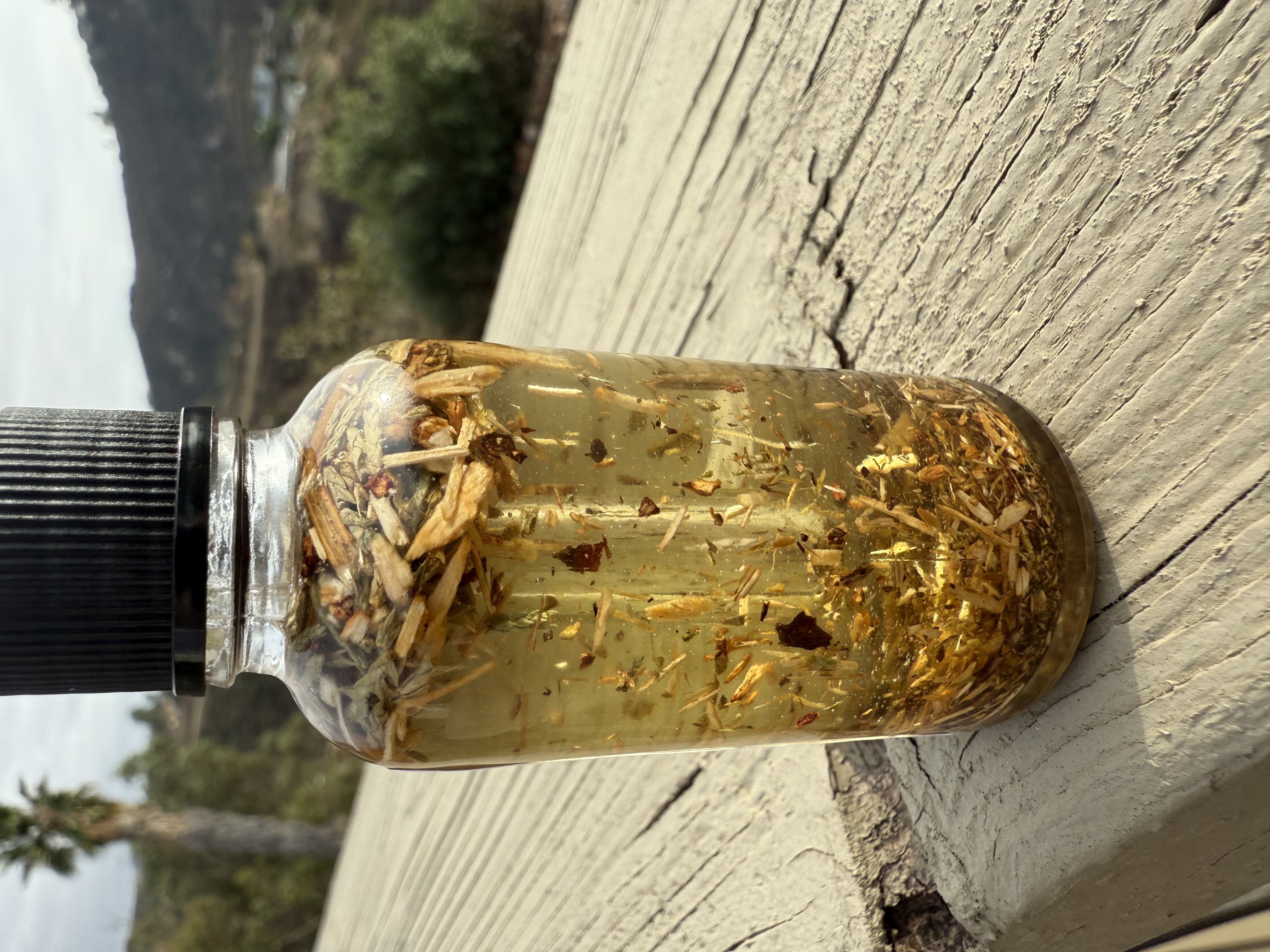 Hyssop Ritual Oil- The Holy Herb for Protection, Purification, Spiritual Transformation, Unhex/Uncross. Spiritual Growth