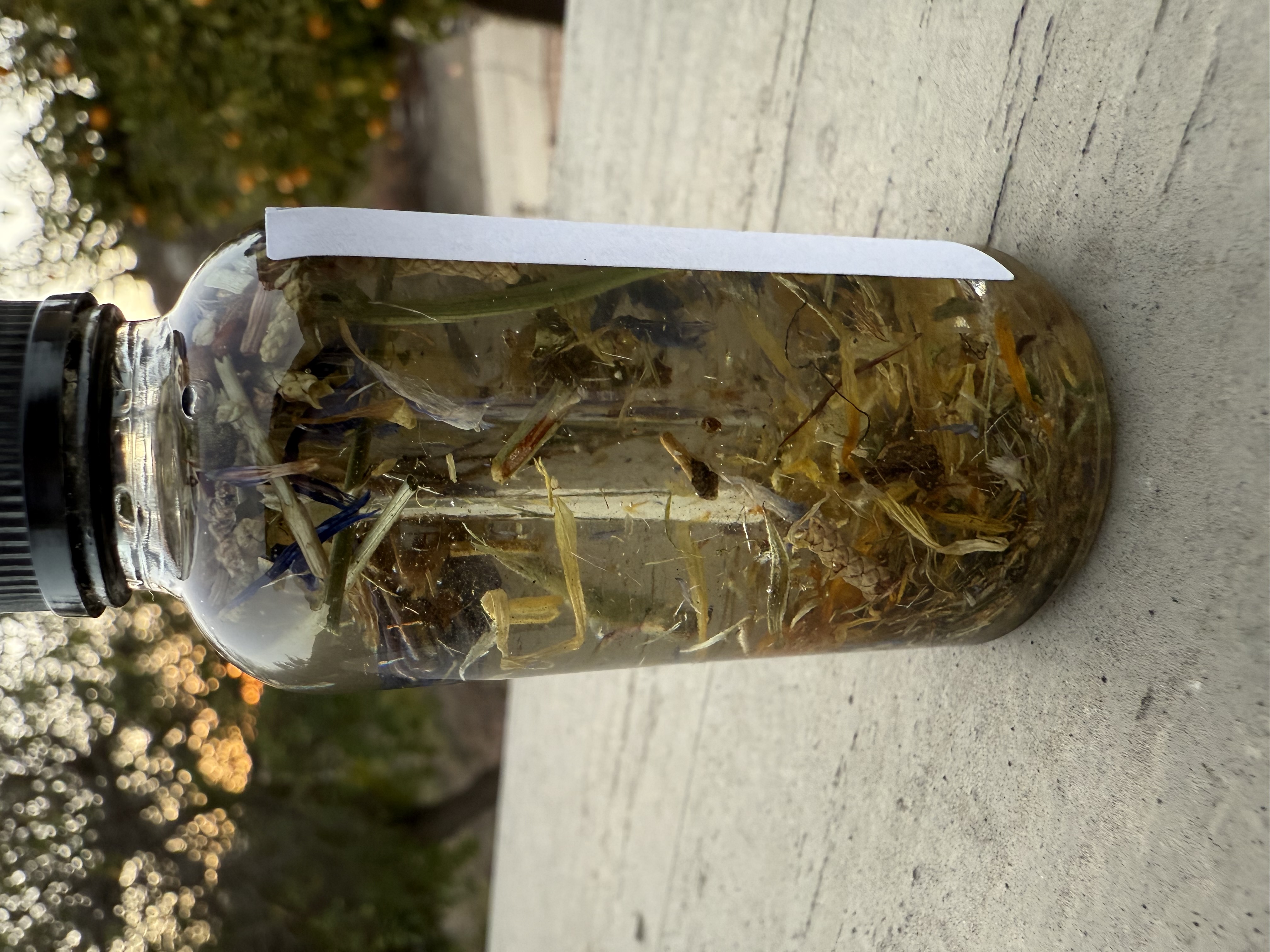 Radiant Rebirth Ritual Oil For Rebirths