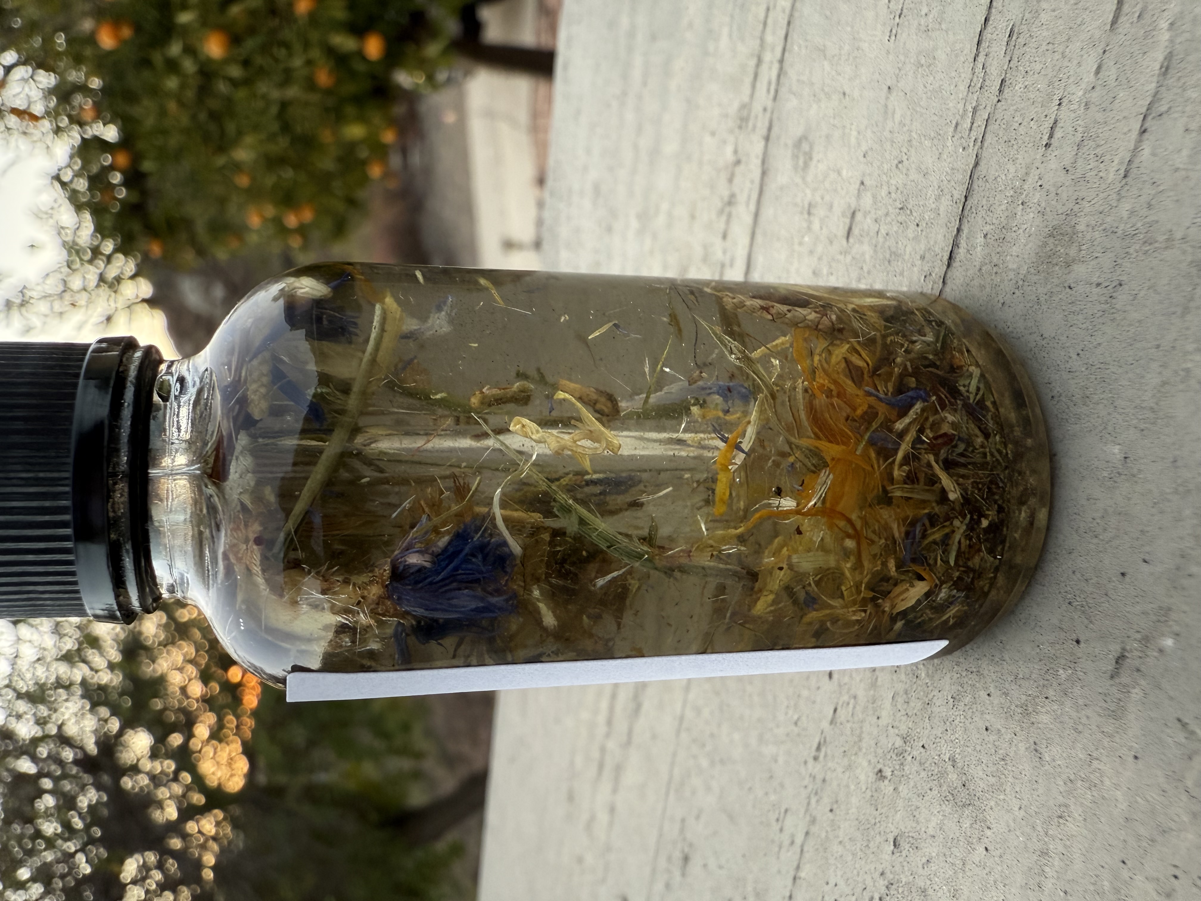 Radiant Rebirth Ritual Oil For Rebirths
