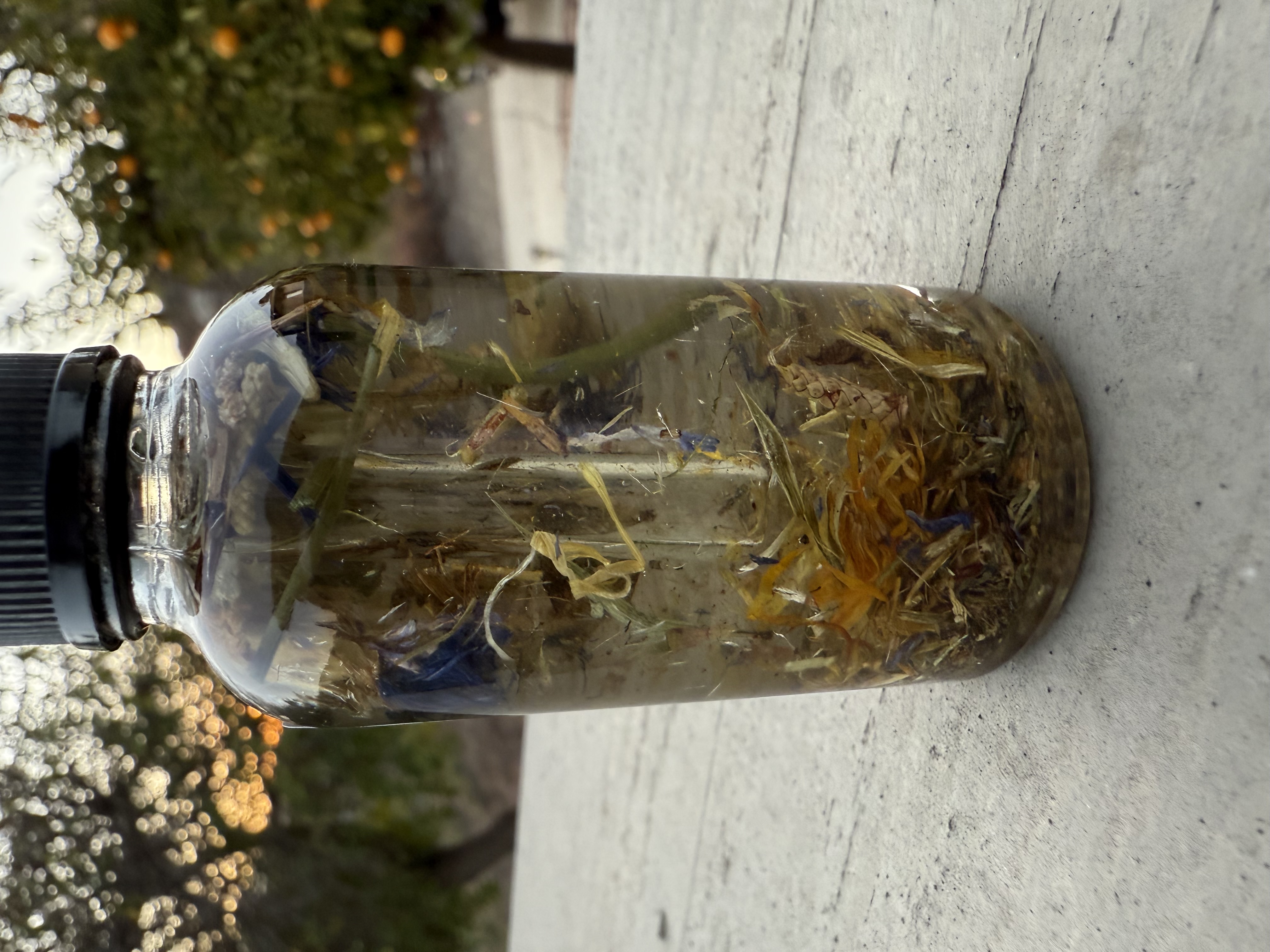 Radiant Rebirth Ritual Oil For Rebirths