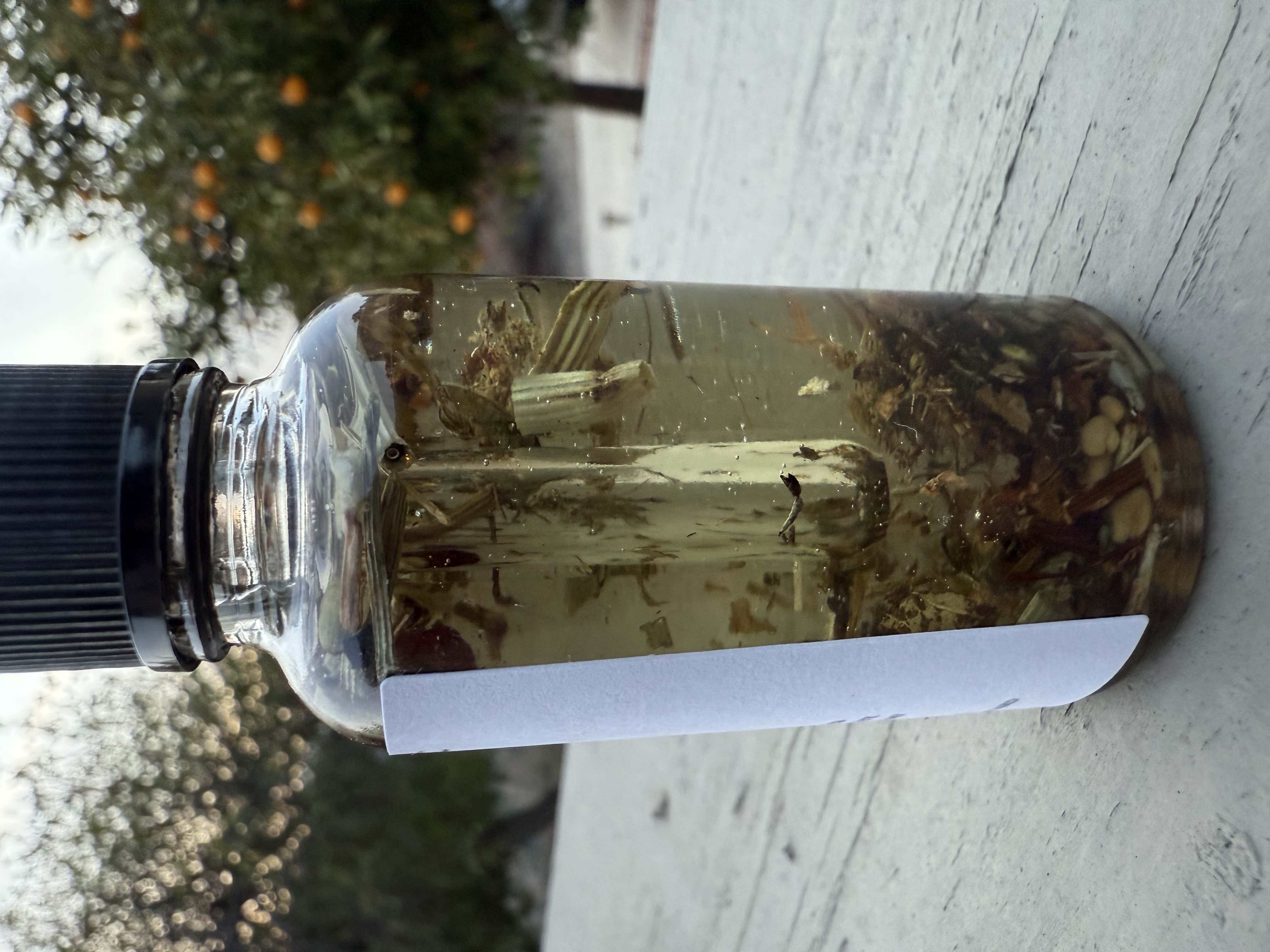 Fertility Ritual Oil