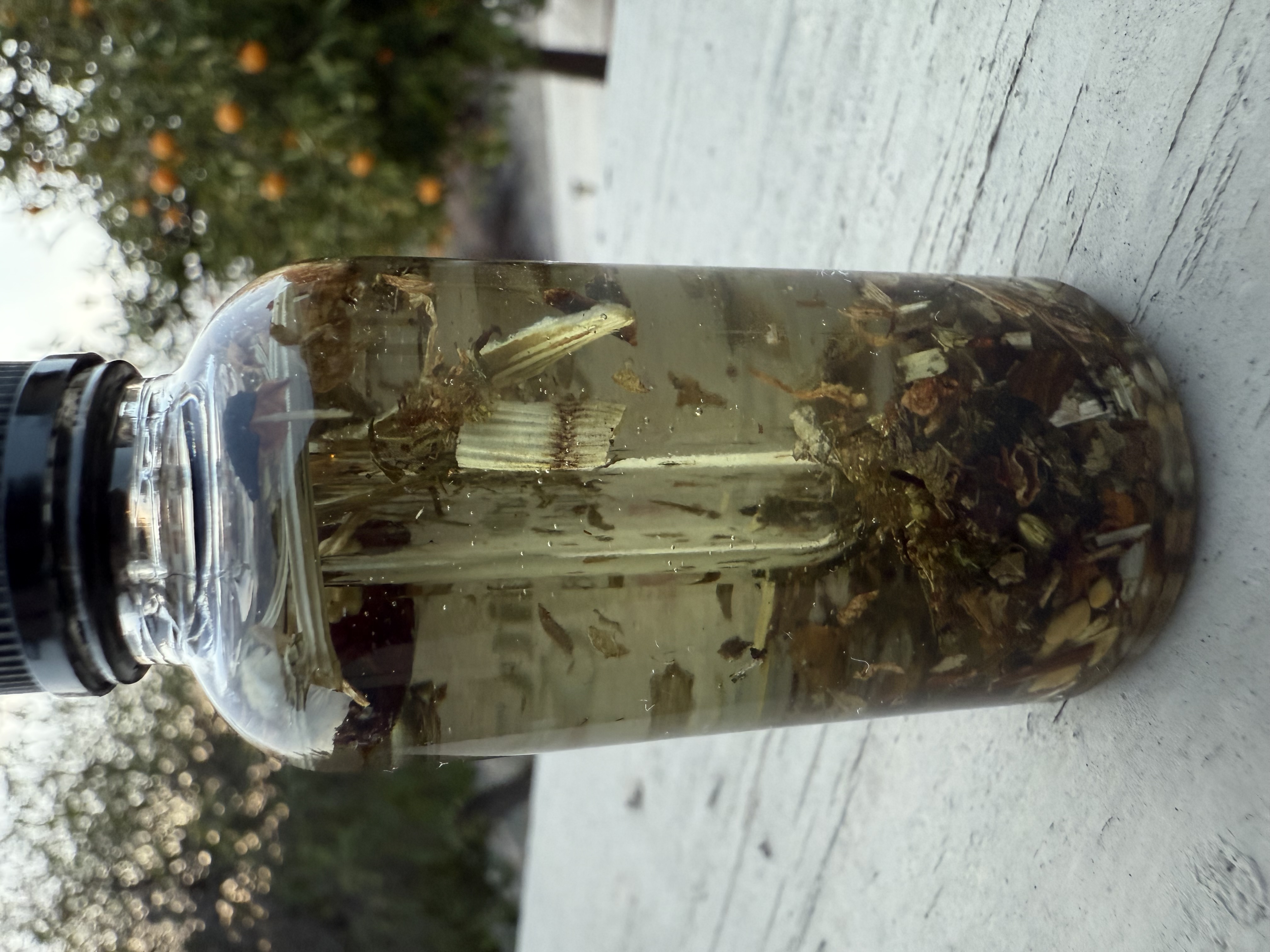 Fertility Ritual Oil