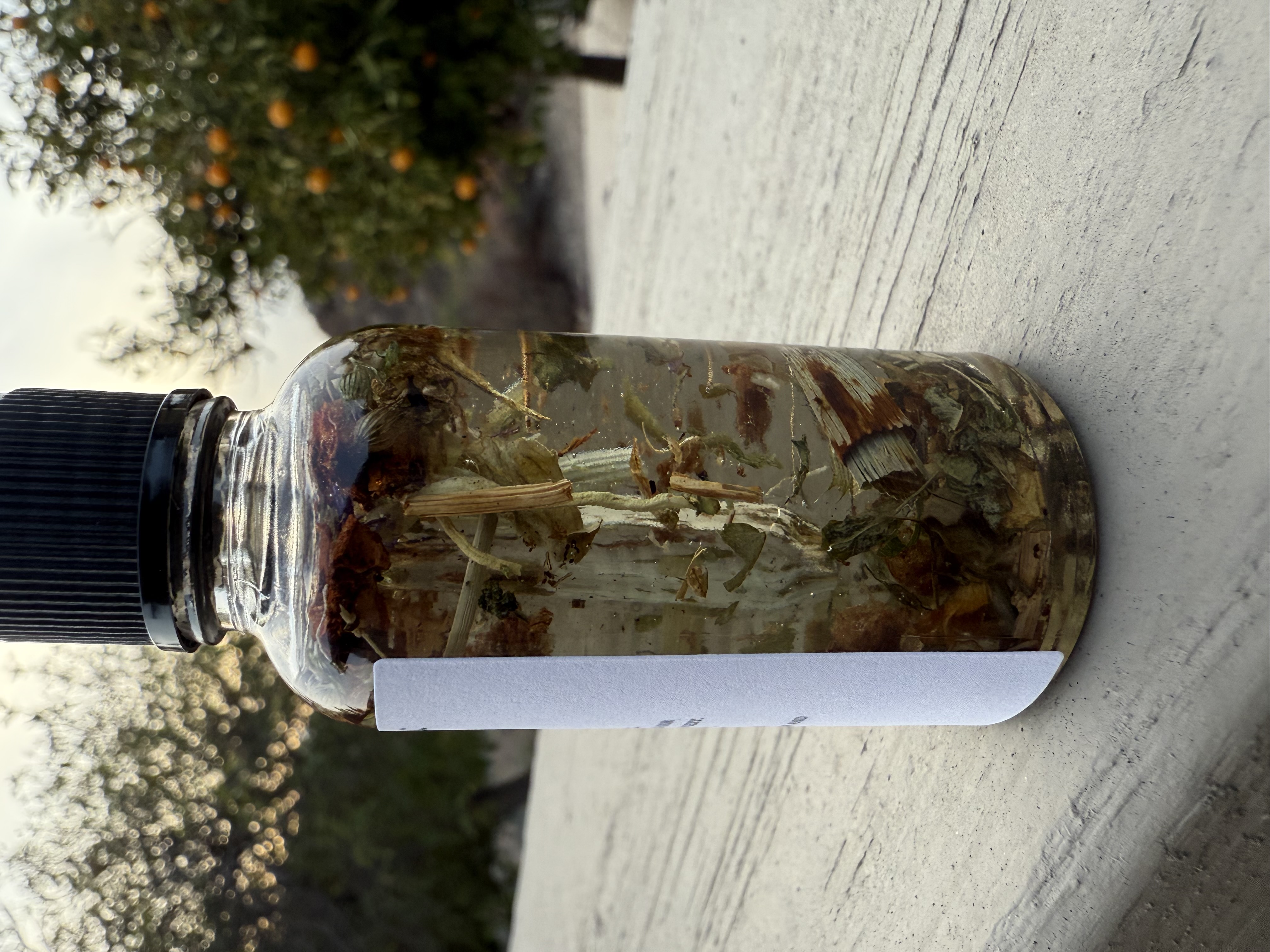 Euphoria Ritual Oil