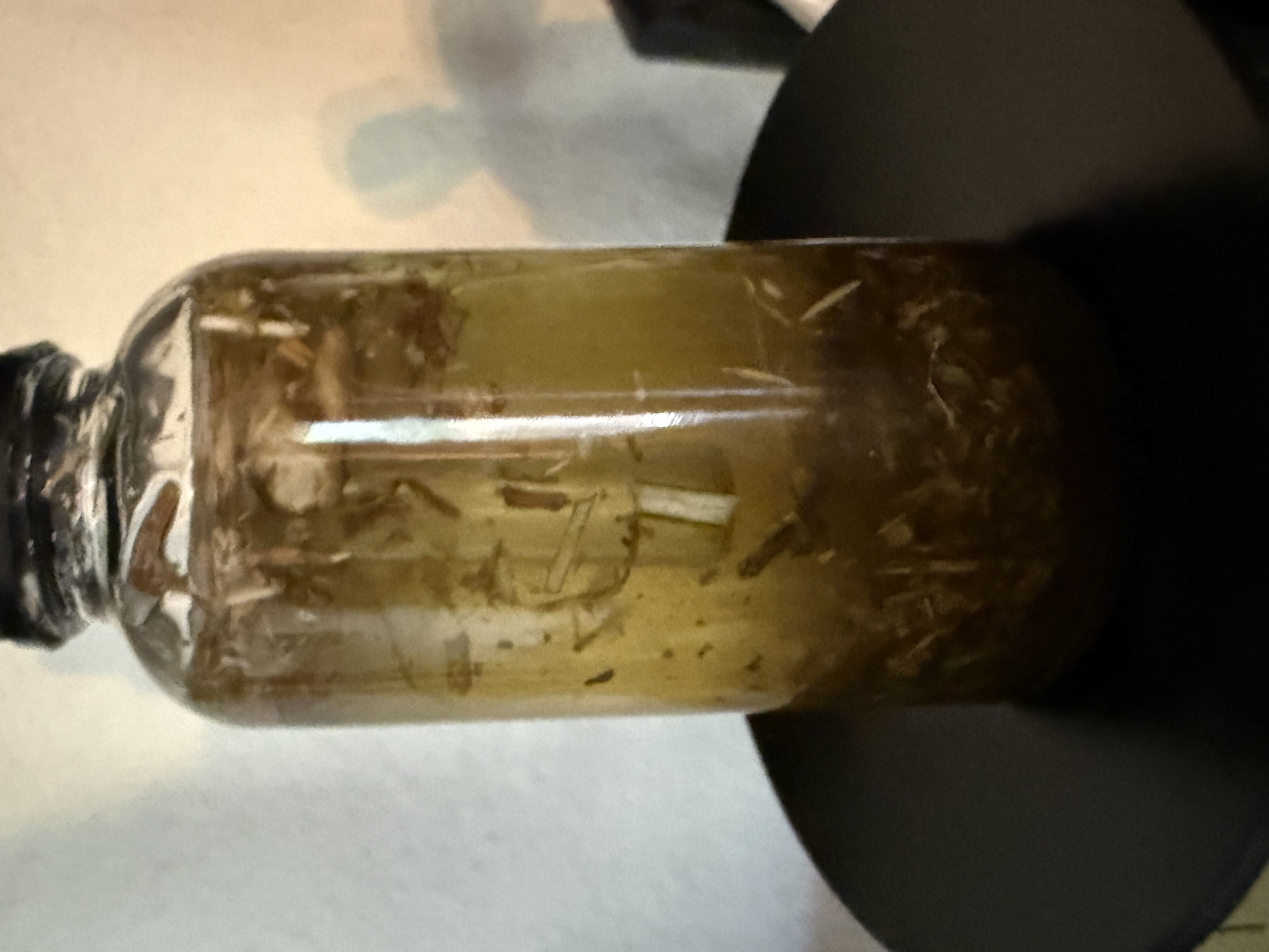 Evil Eye Transmutation Oil