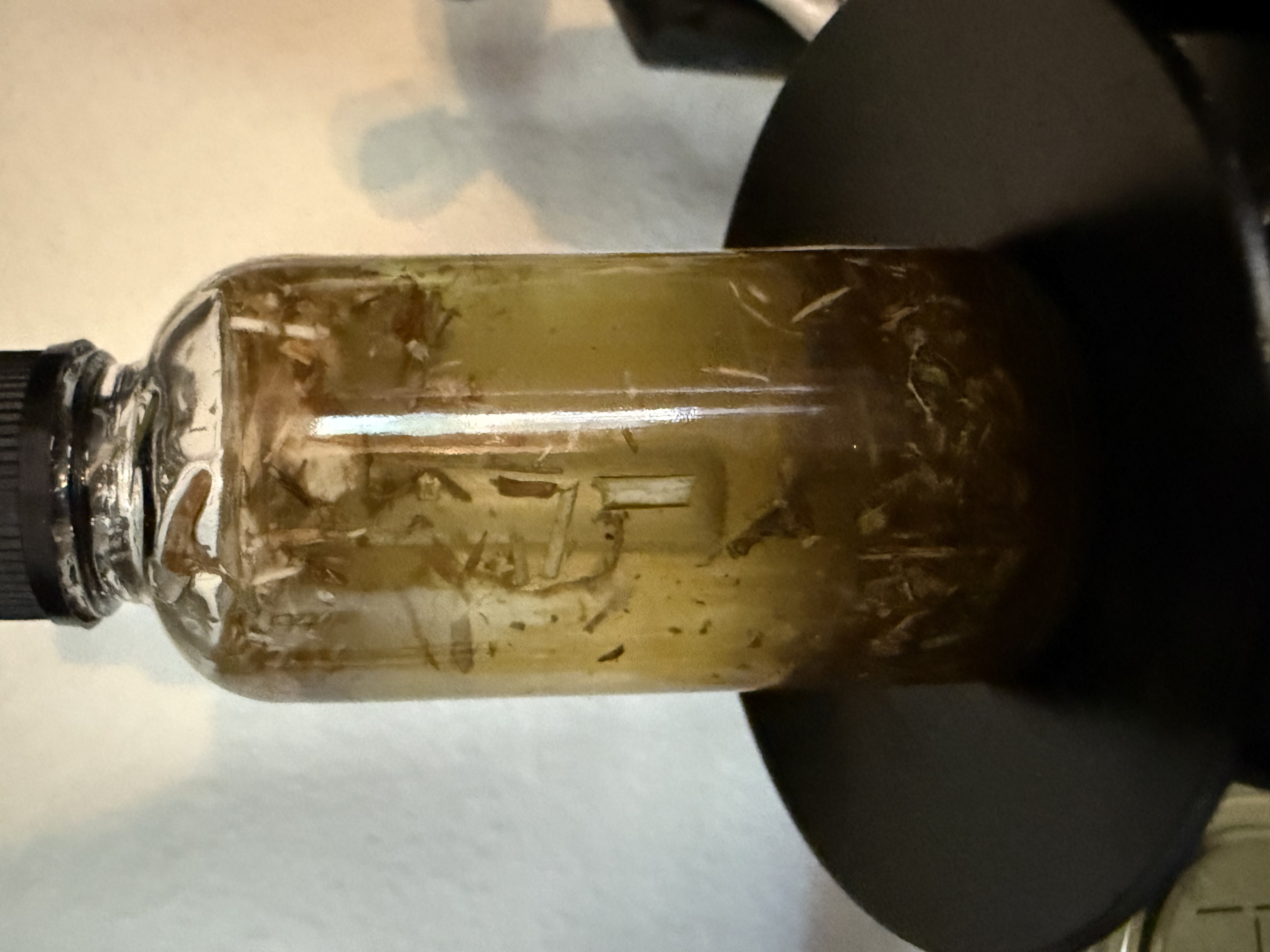 Evil Eye Transmutation Oil