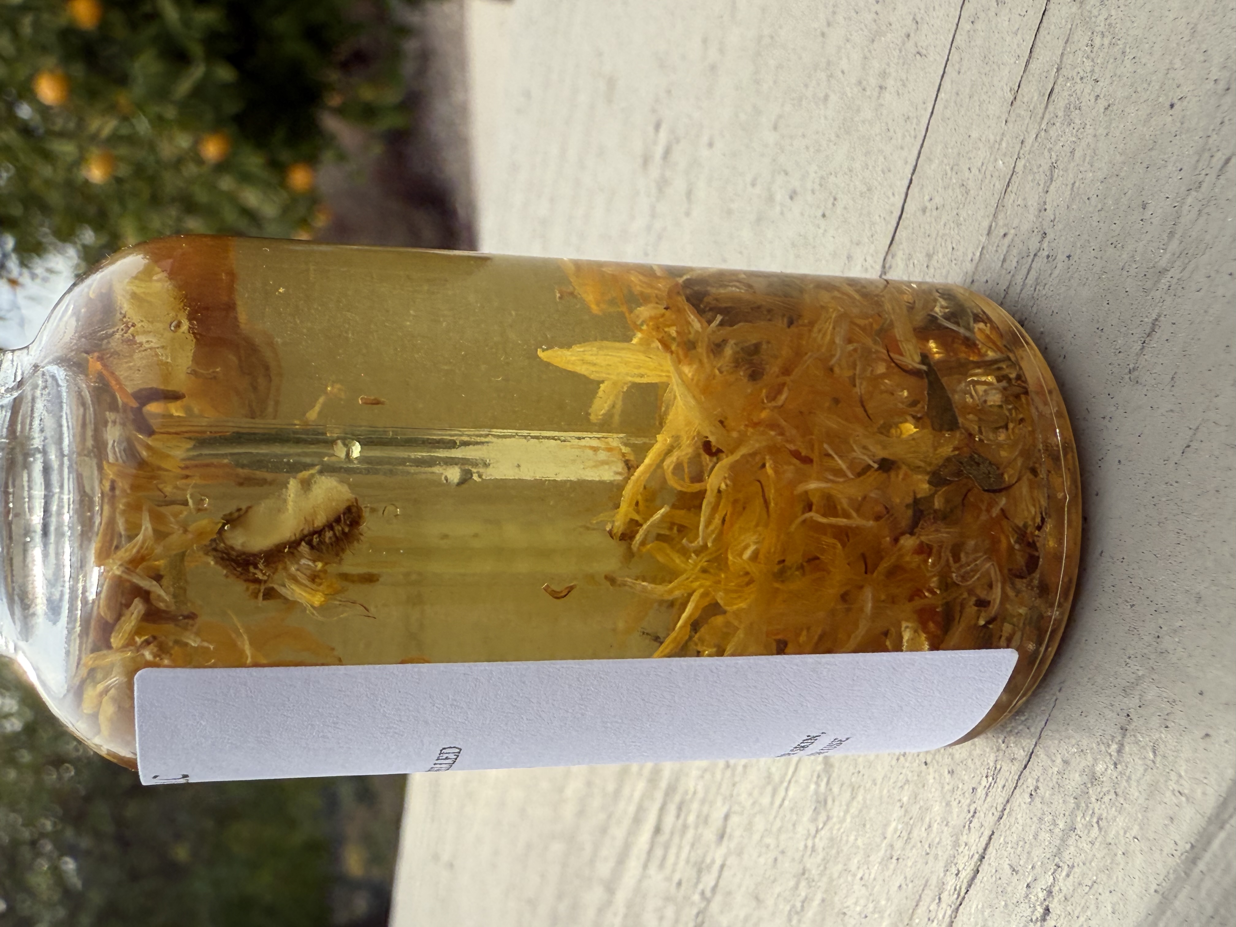 Calendula Oil