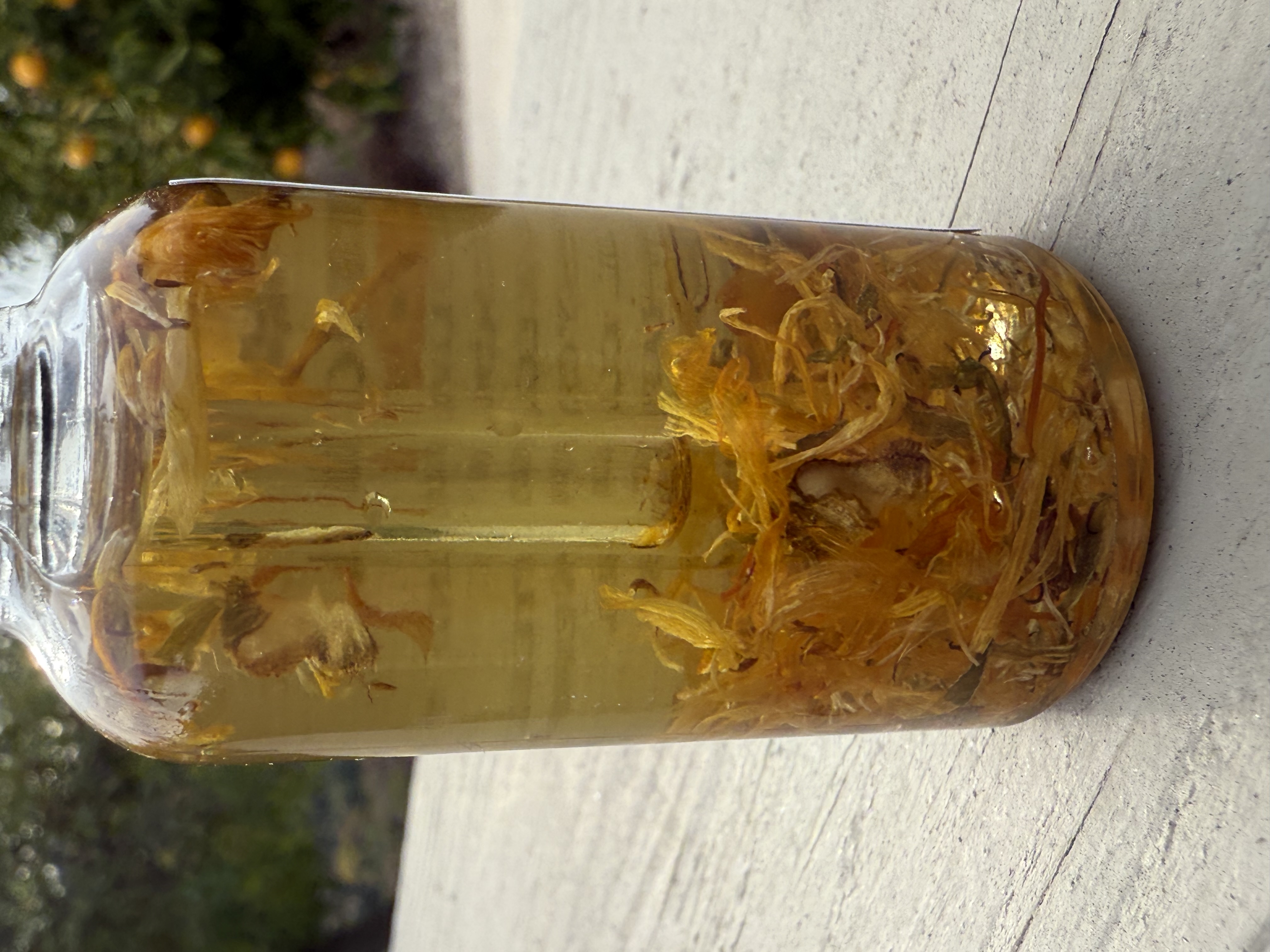 Calendula Oil