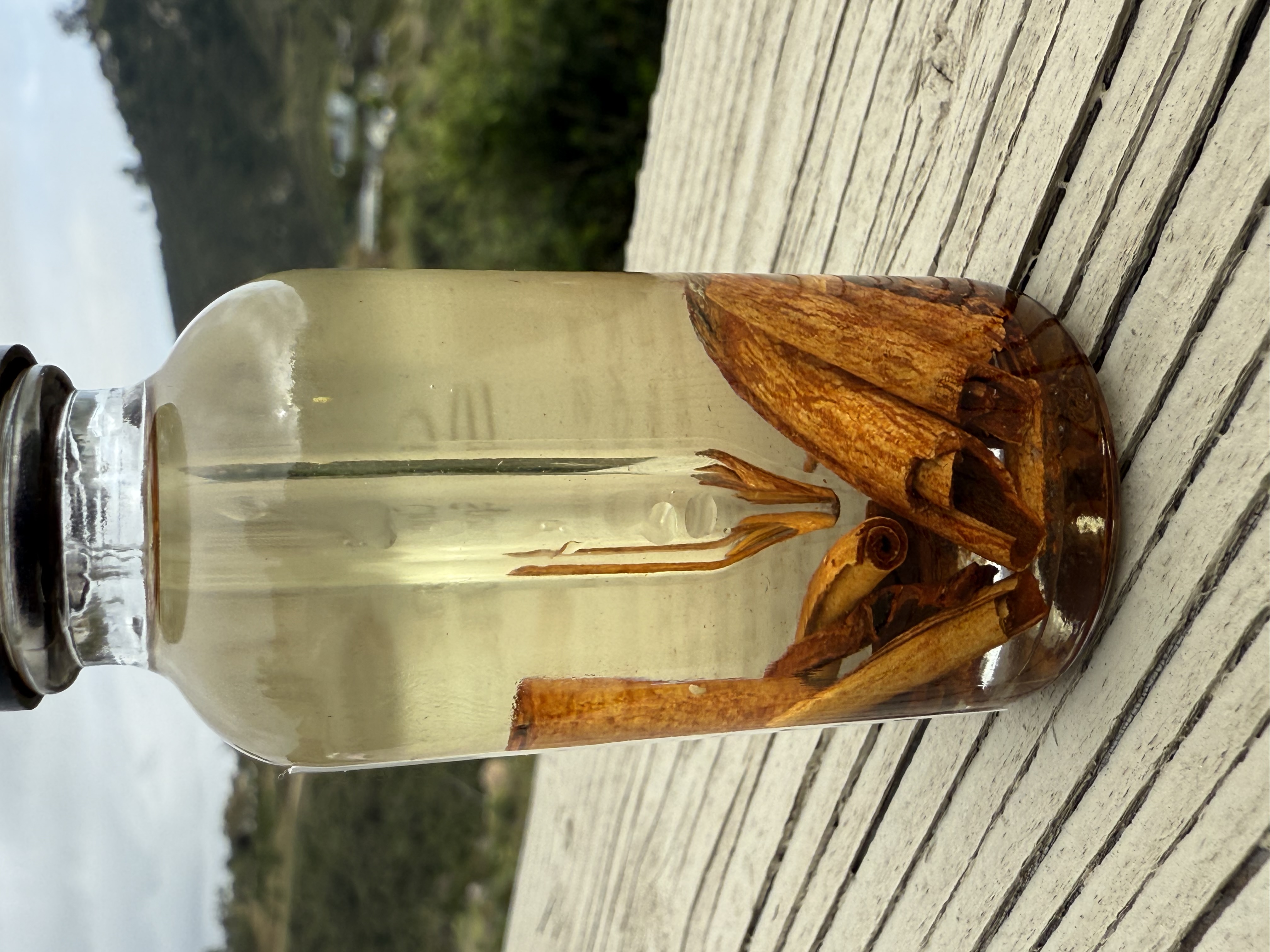 Cinnamon Spelled Oil
