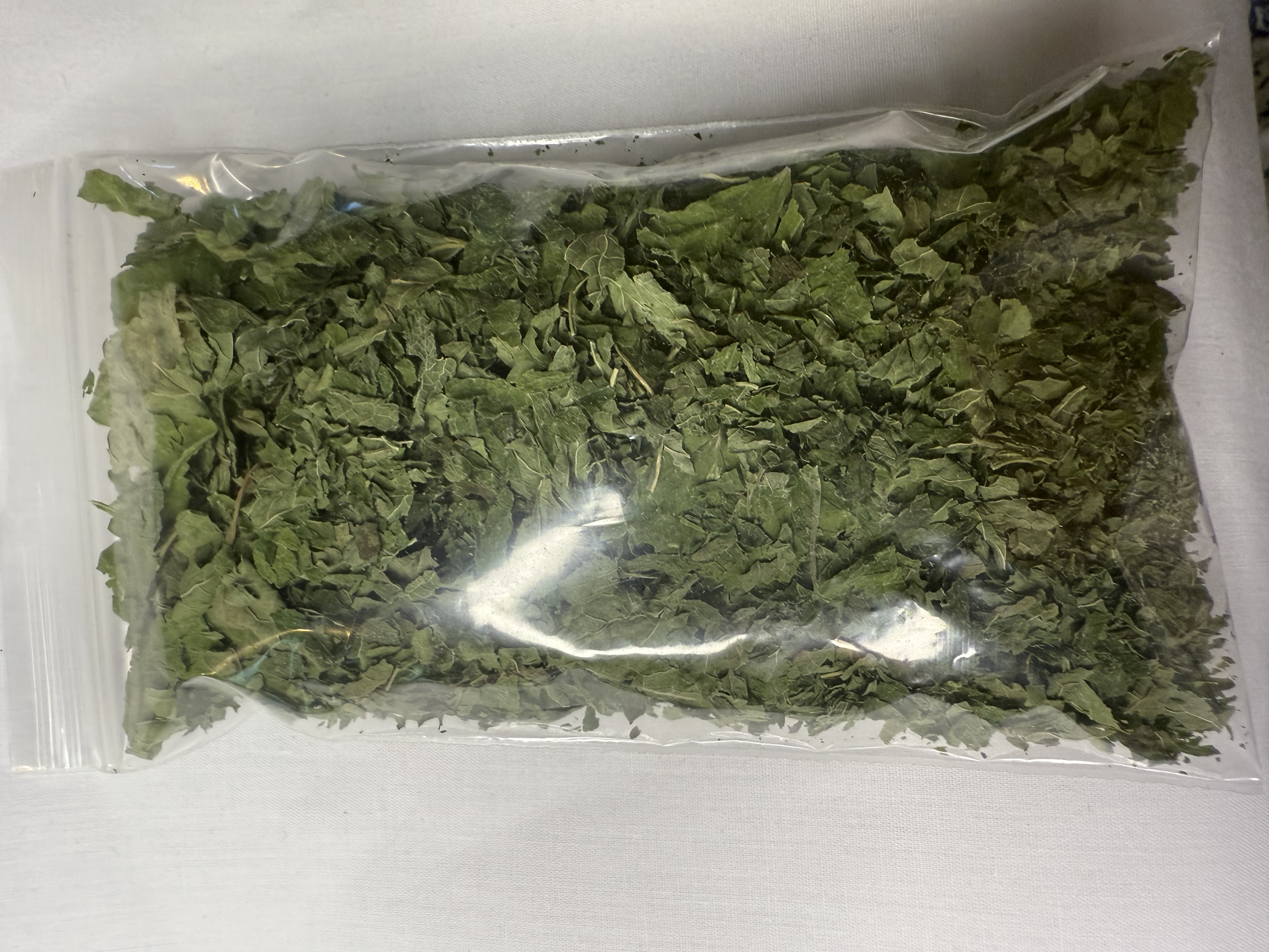 Organic Lemon Balm