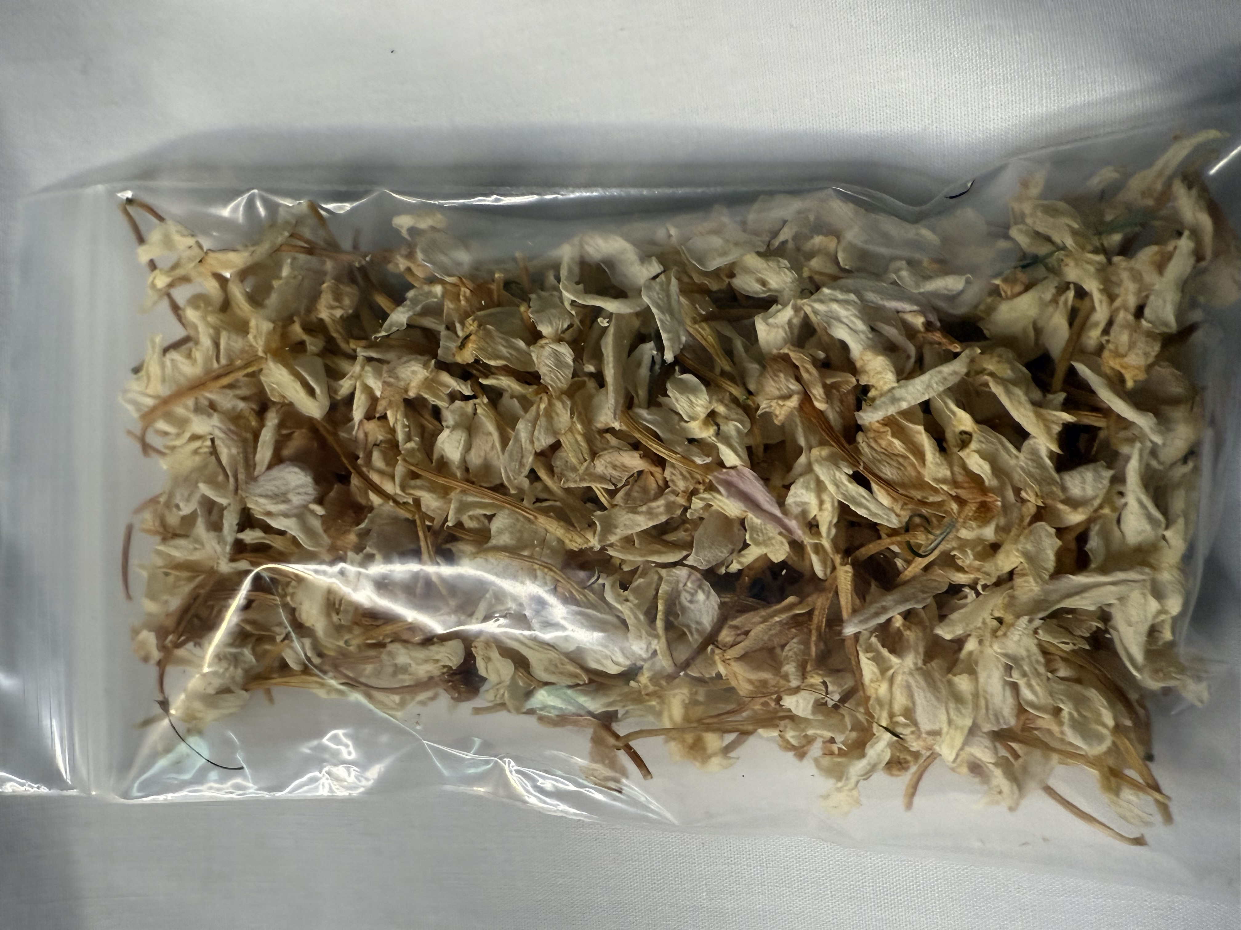 Organic Jasmine Flowers