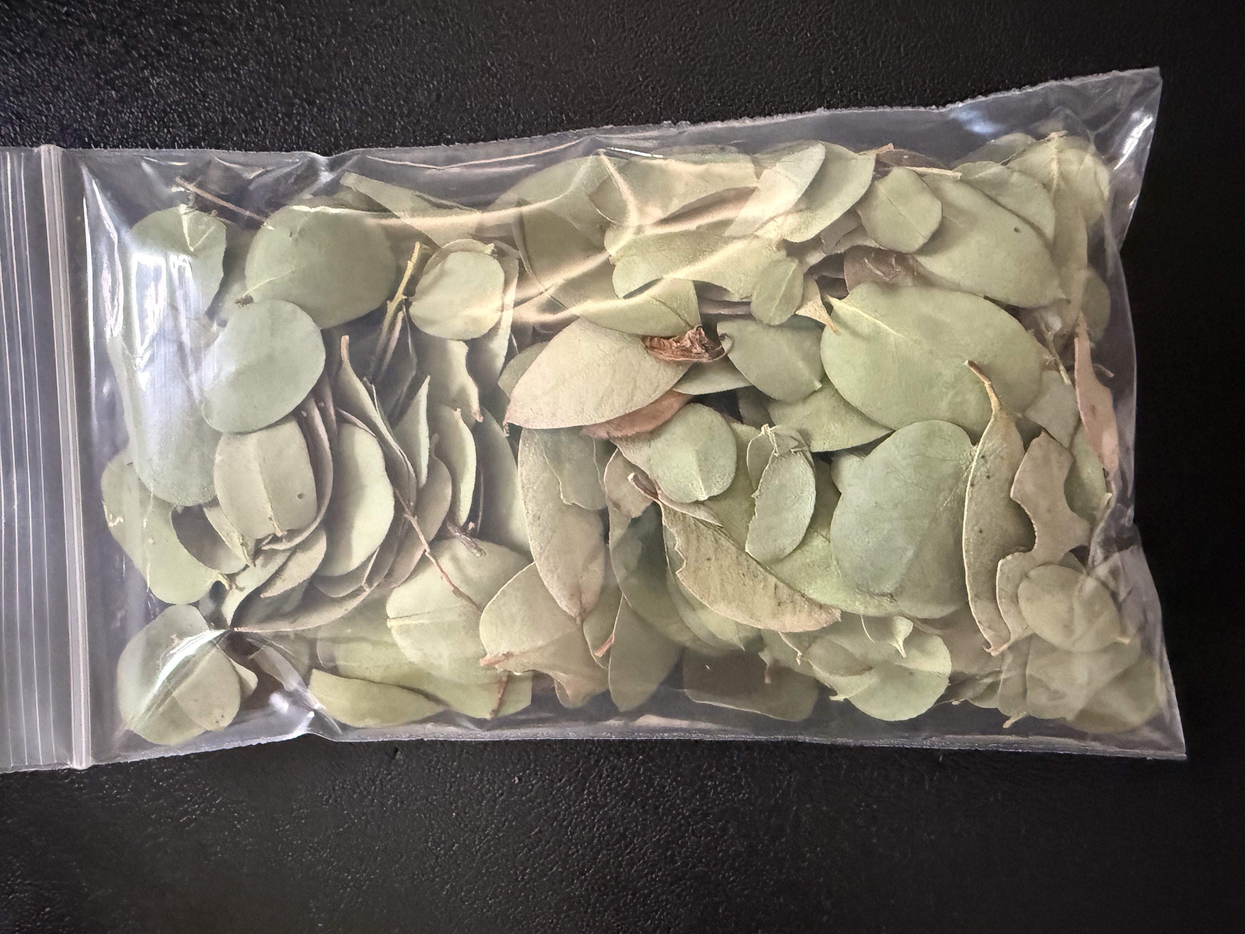 Organic Eucalyptus Leaves