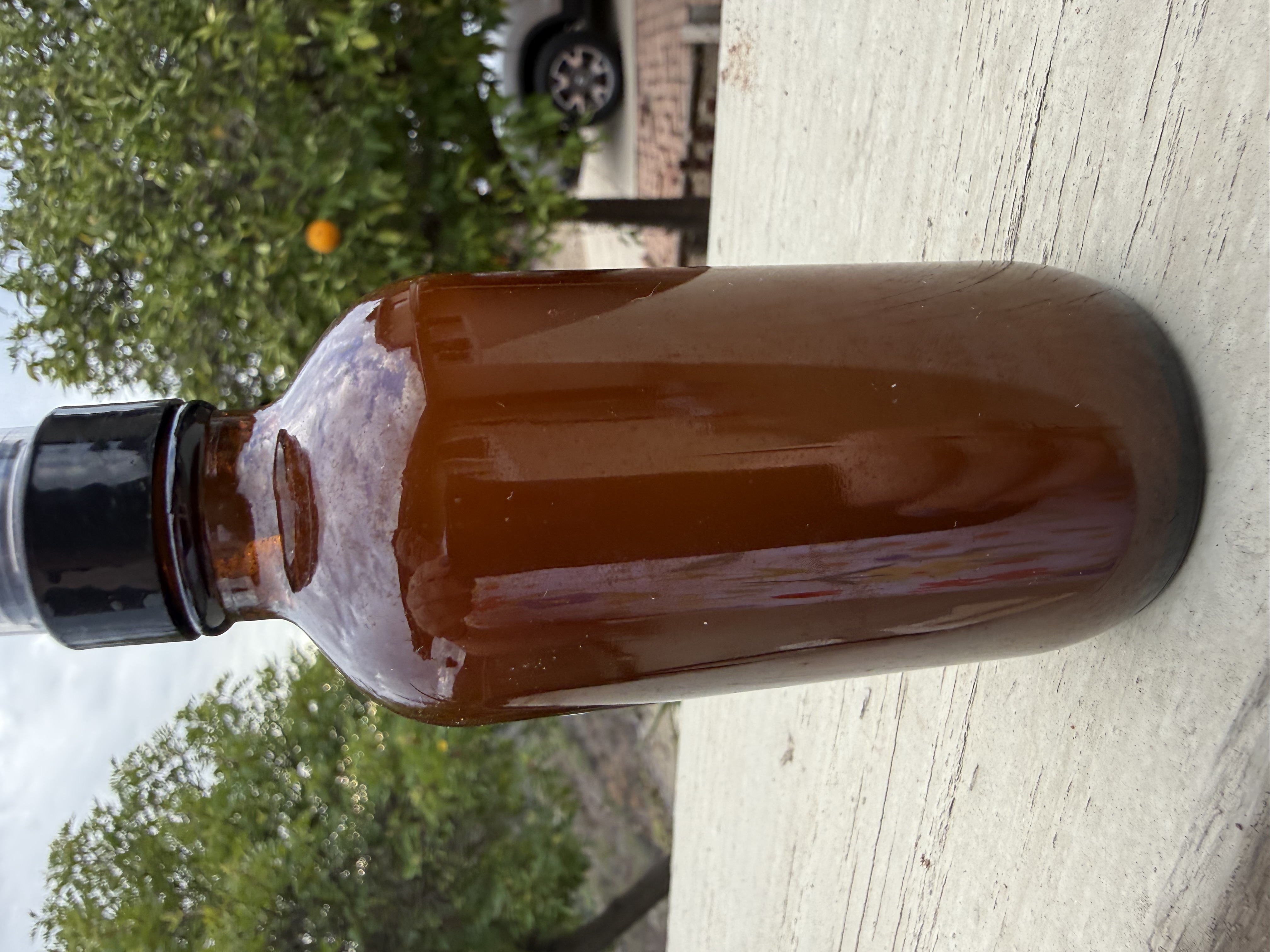 Cedar Spray