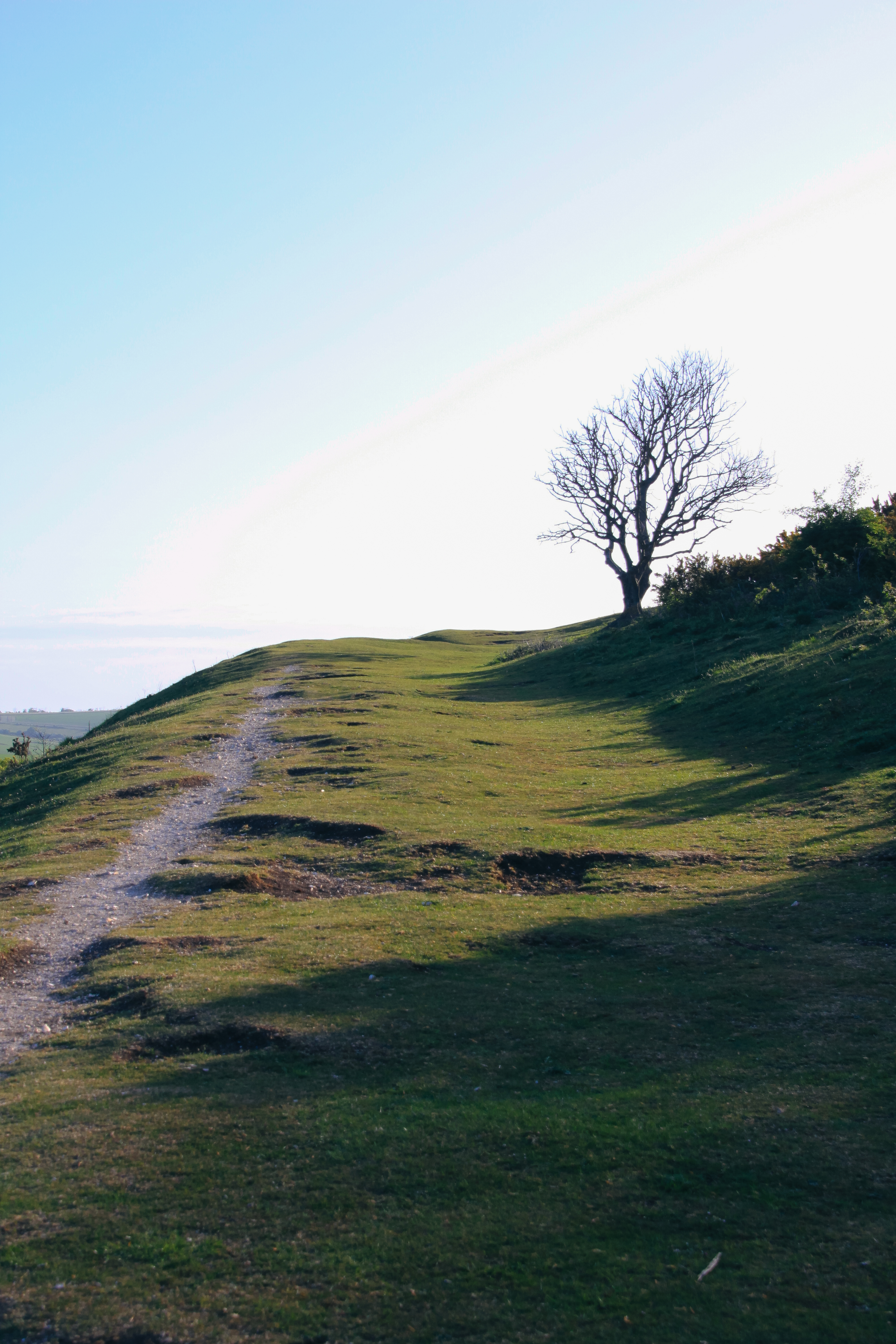 The South Downs Through The Ages Tour