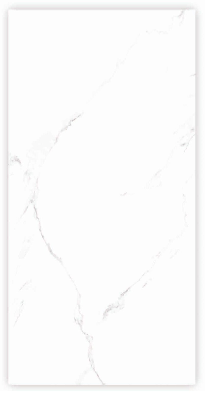 Circle Statuario 24x48 Porcelain Tile – White Marble Look with Subtle Grey Veins, Glossy Finish