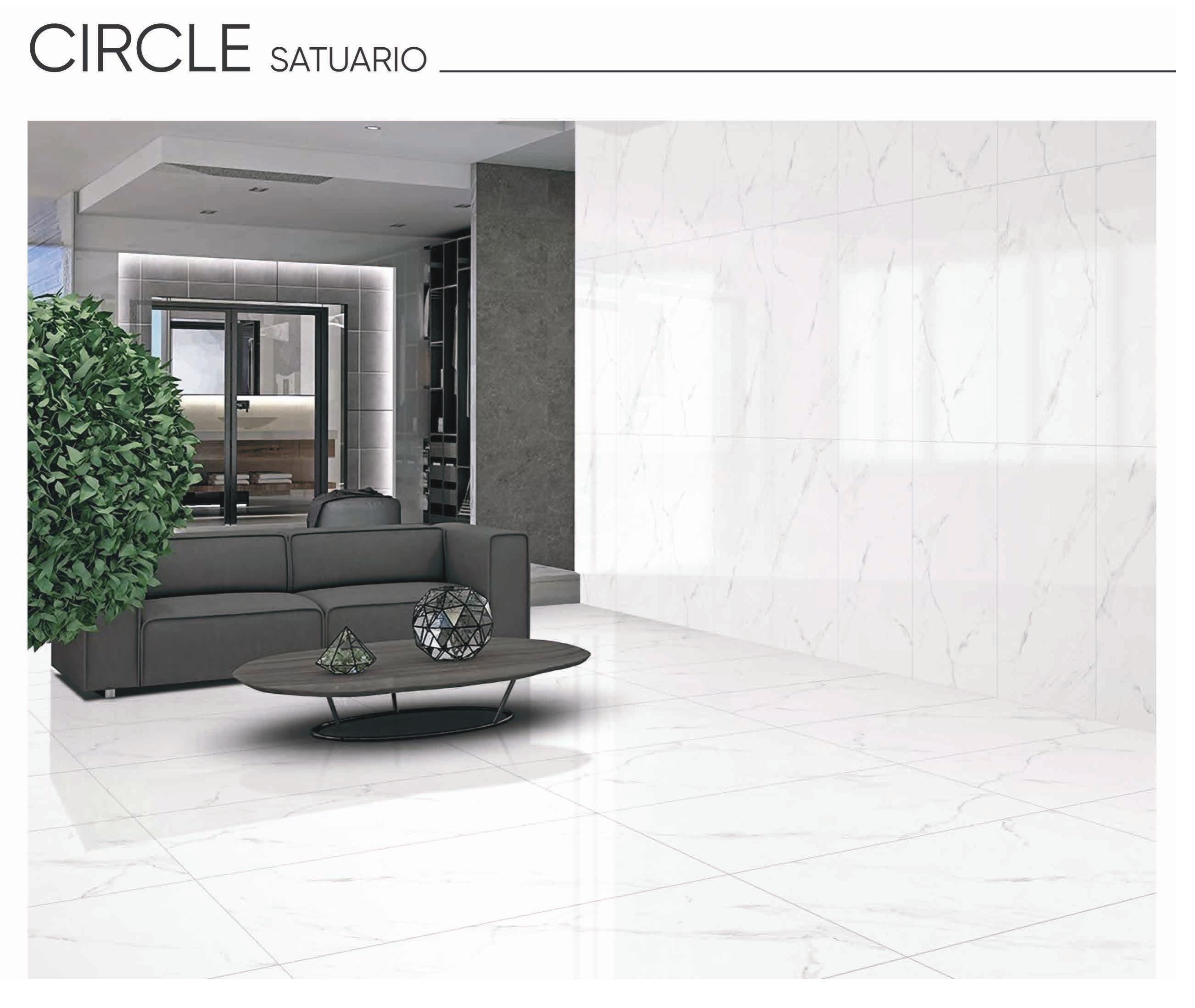 Circle Statuario 24x48 Porcelain Tile – White Marble Look with Subtle Grey Veins, Glossy Finish