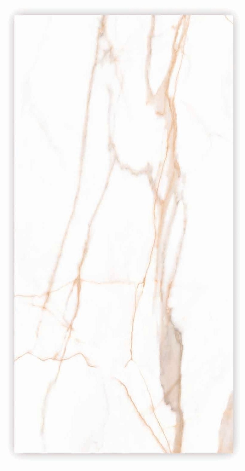 Calcutta Oro 24x48 Porcelain Tile – White Marble Look with Rich Gold Veining, Glossy Finish