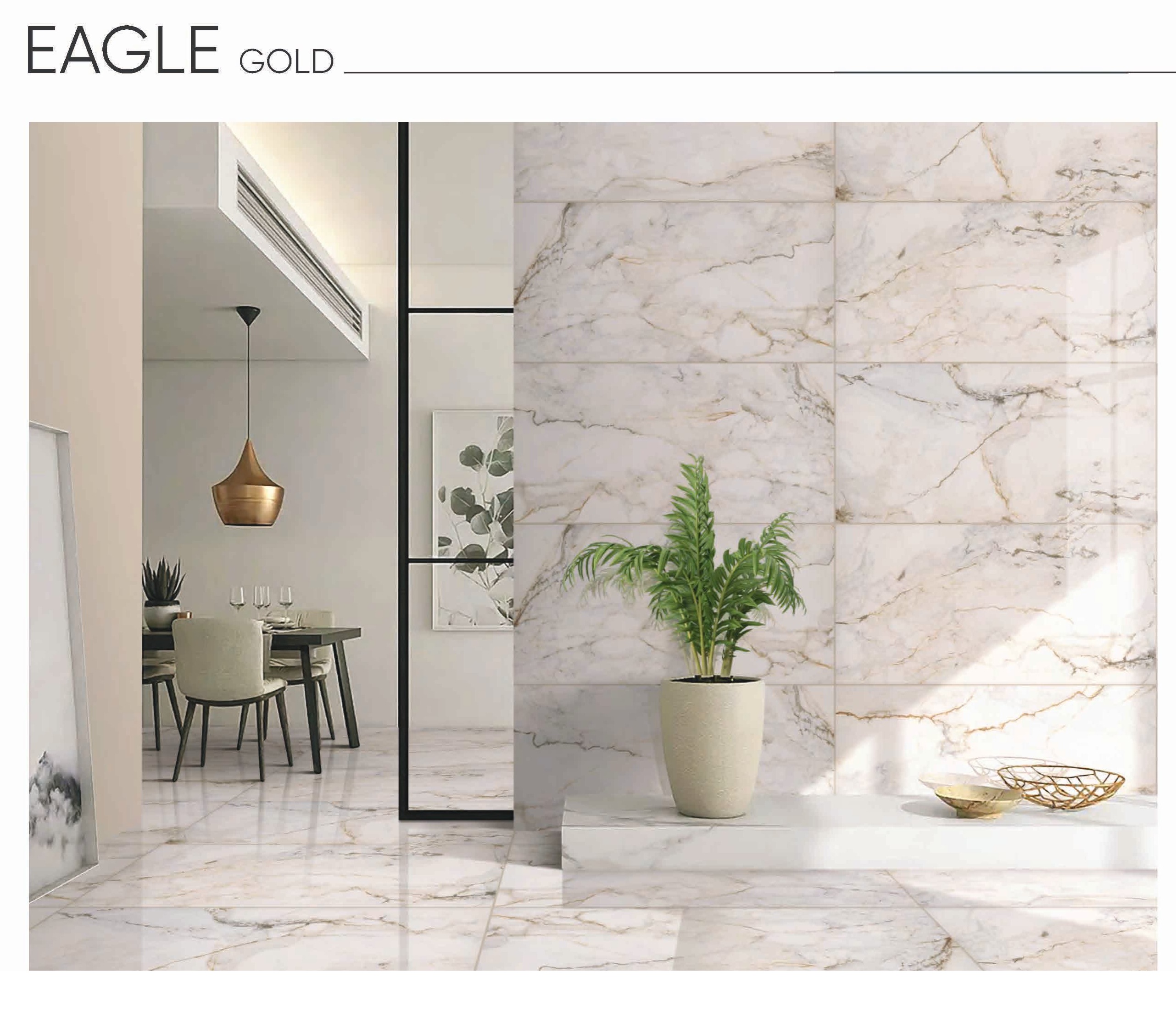 Eagle Gold 24x48 Porcelain Tile – Rich White Marble Look with Striking Golden Veins