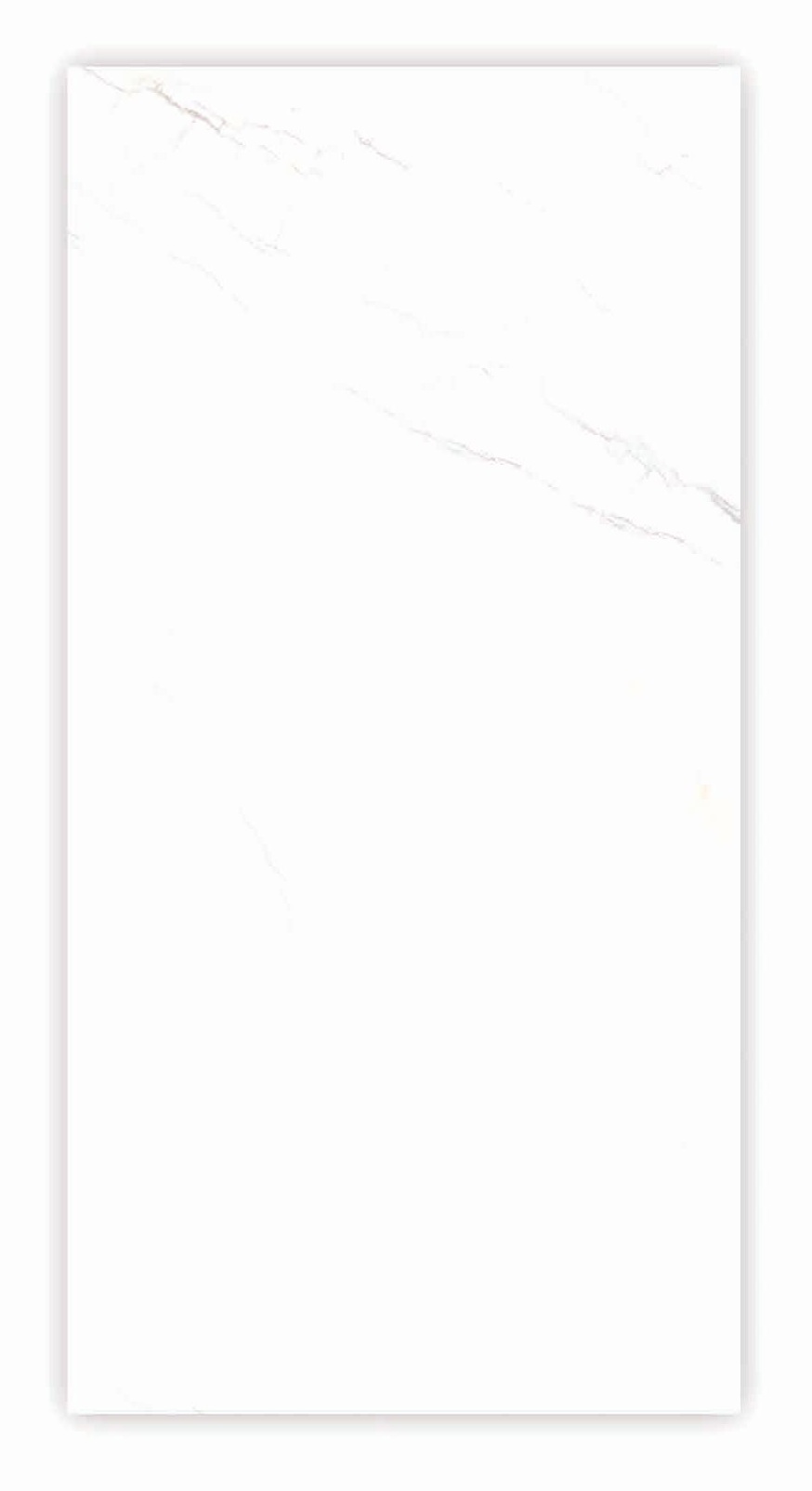 Valencia White 24x48 Porcelain Tile – Modern White Marble Look with Light Veining, Polished Finish