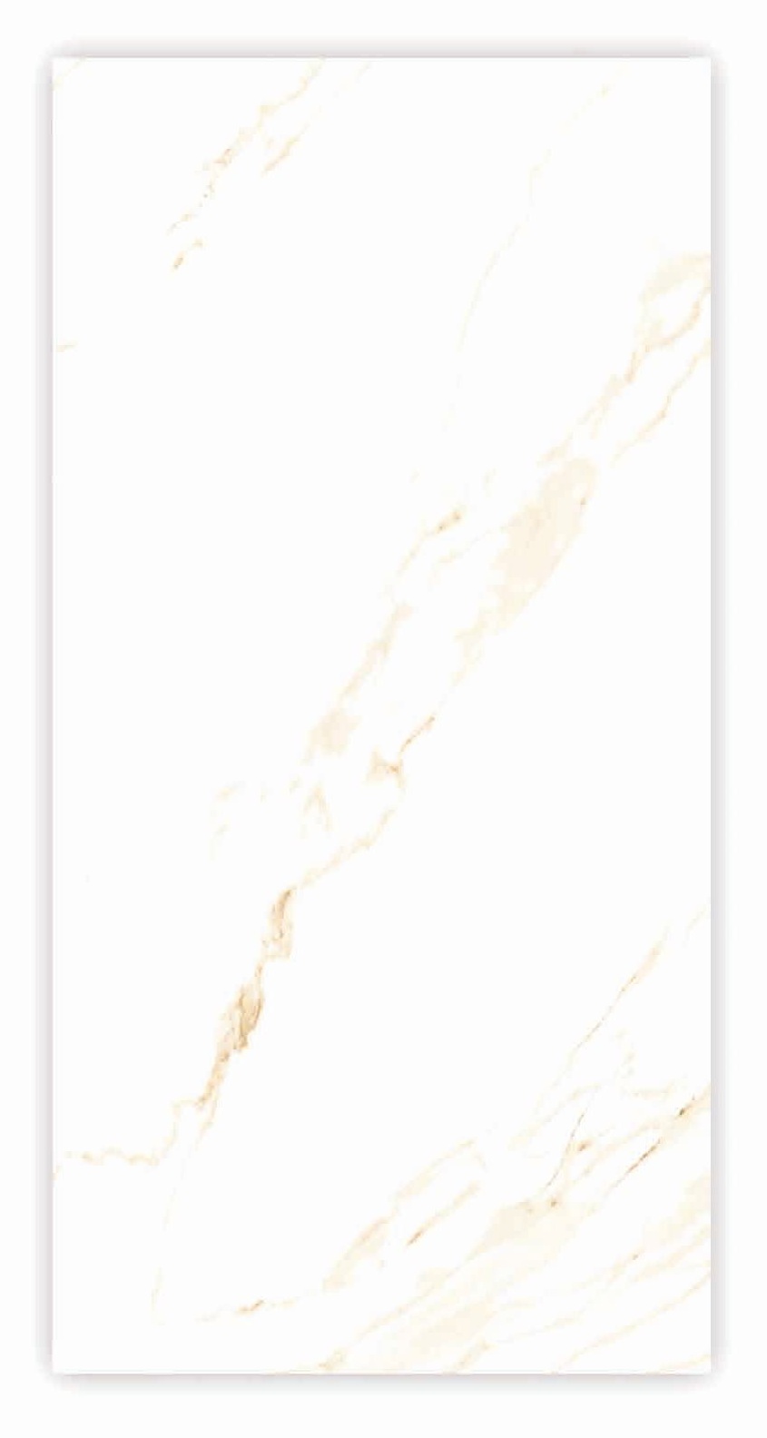 Circle Statuario Beige 24x48 Porcelain Tile – Marble Look with Beige Pattern and Glossy Finish