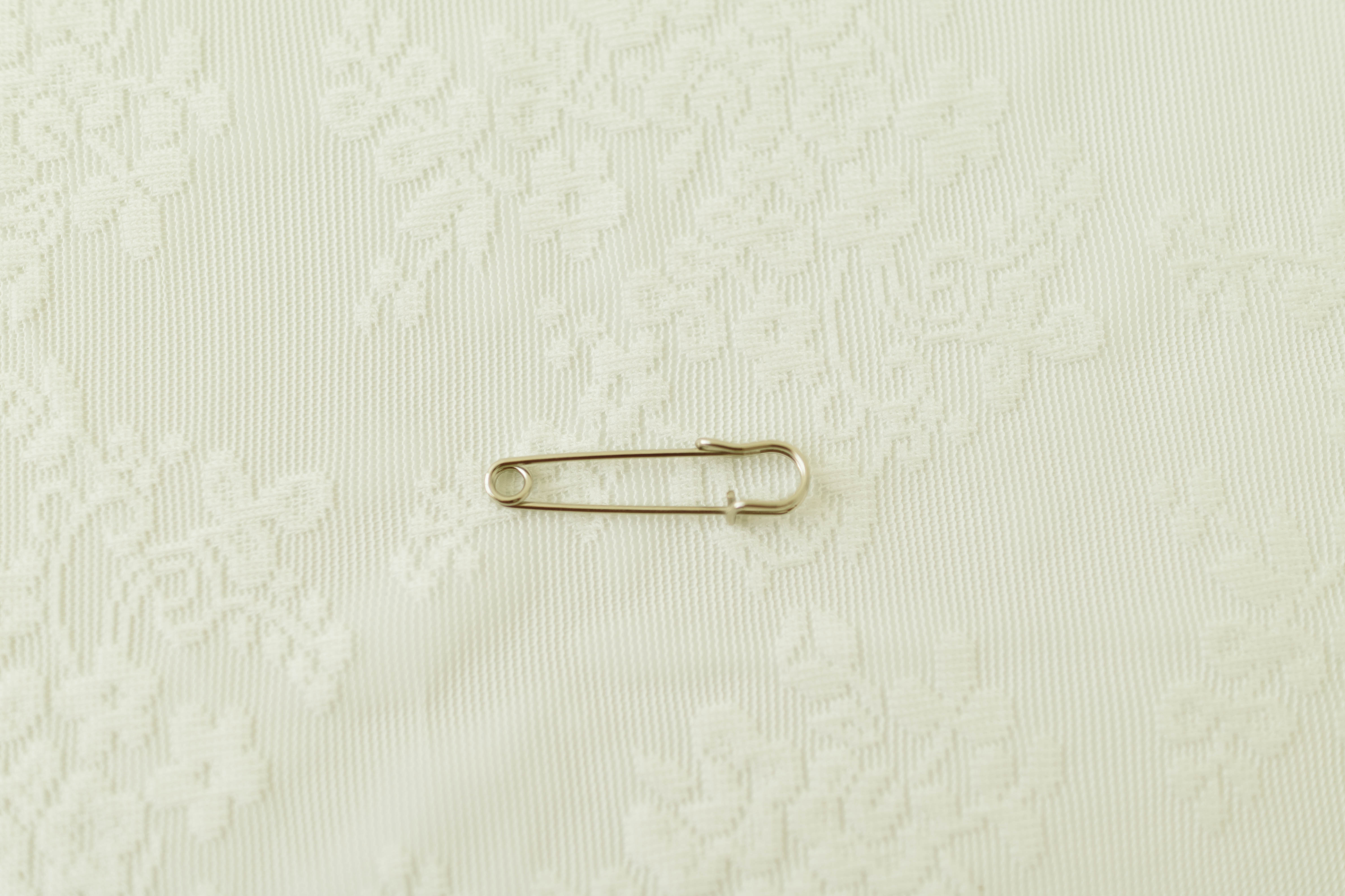 Lapel Pin