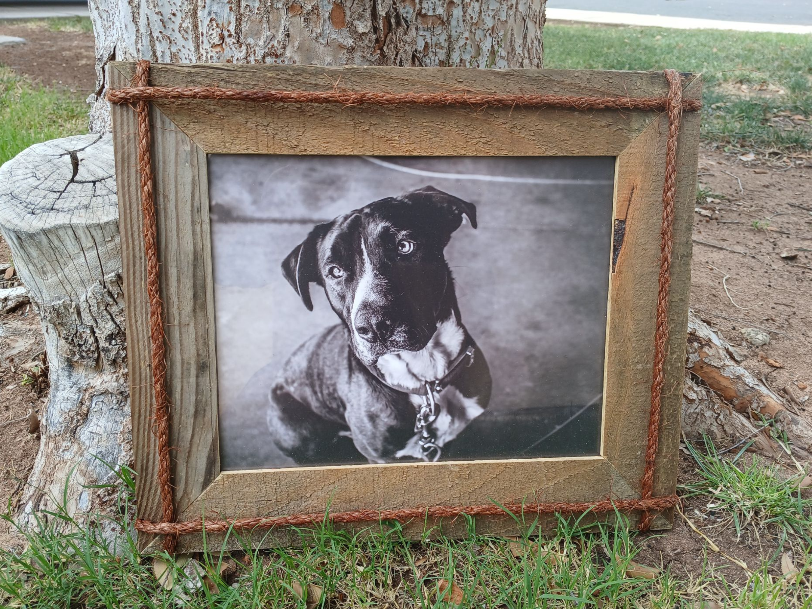 Rustic Reclaimed Pallet Wood and Rope Picture Frame 