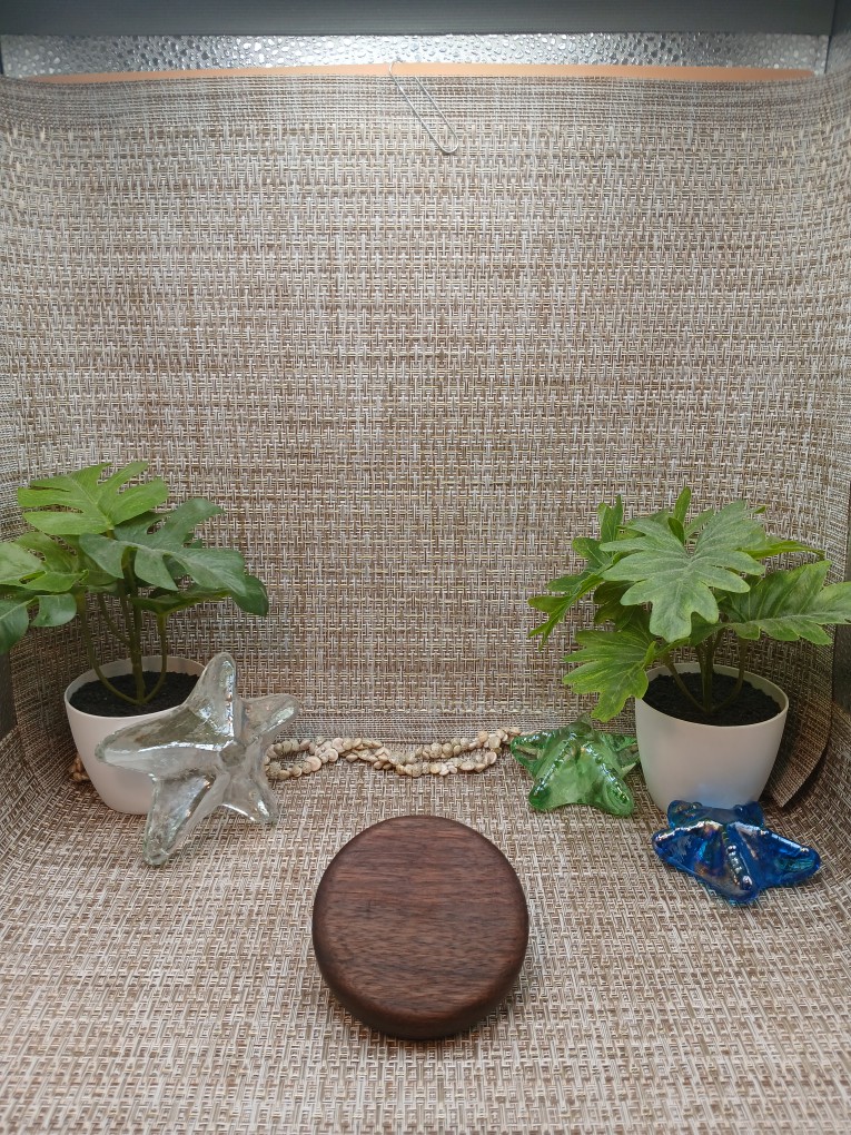 Round Wood Bottle Opener