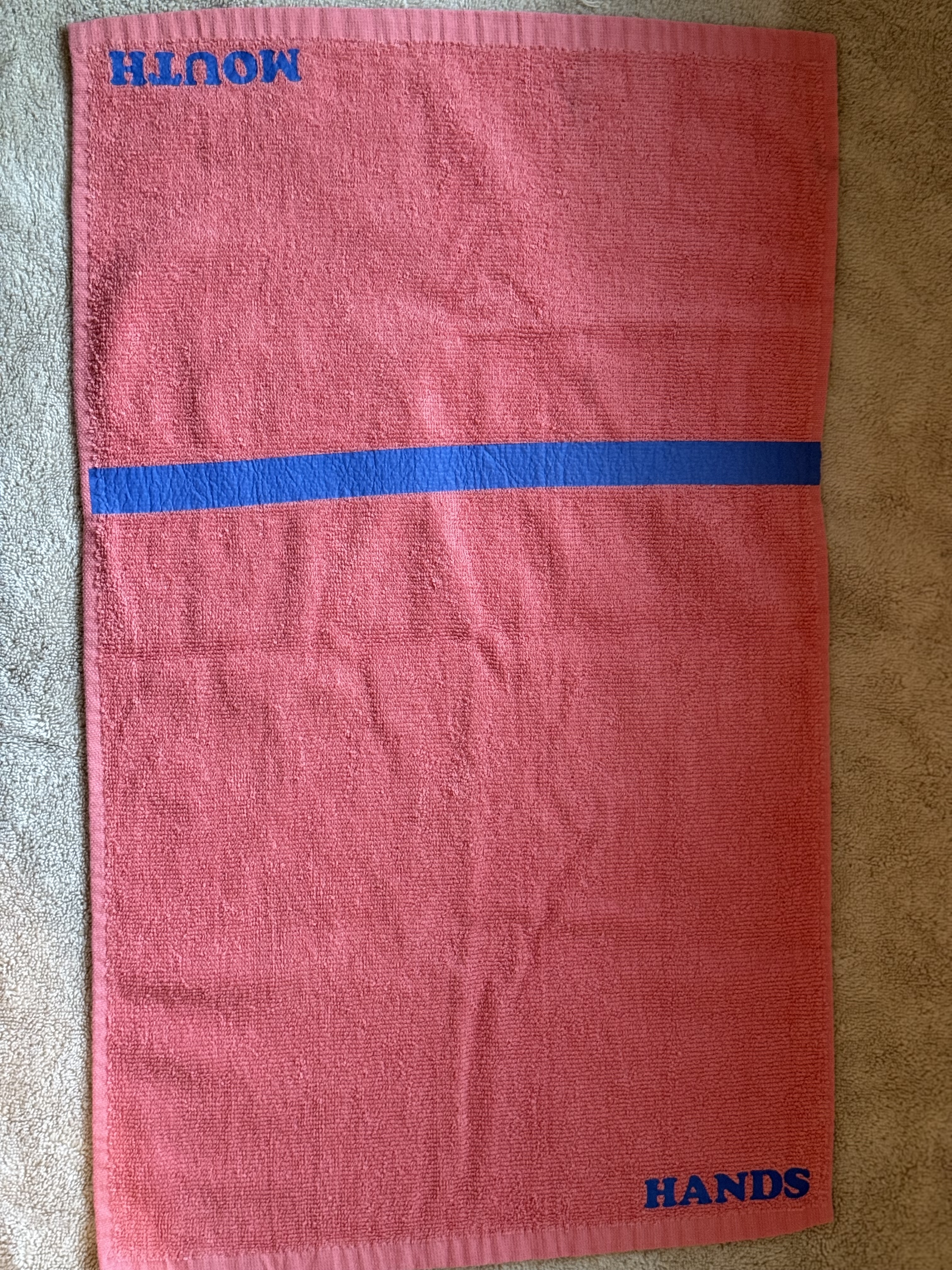 D'Prophets 2Section Bathroom Hand Towel (C)