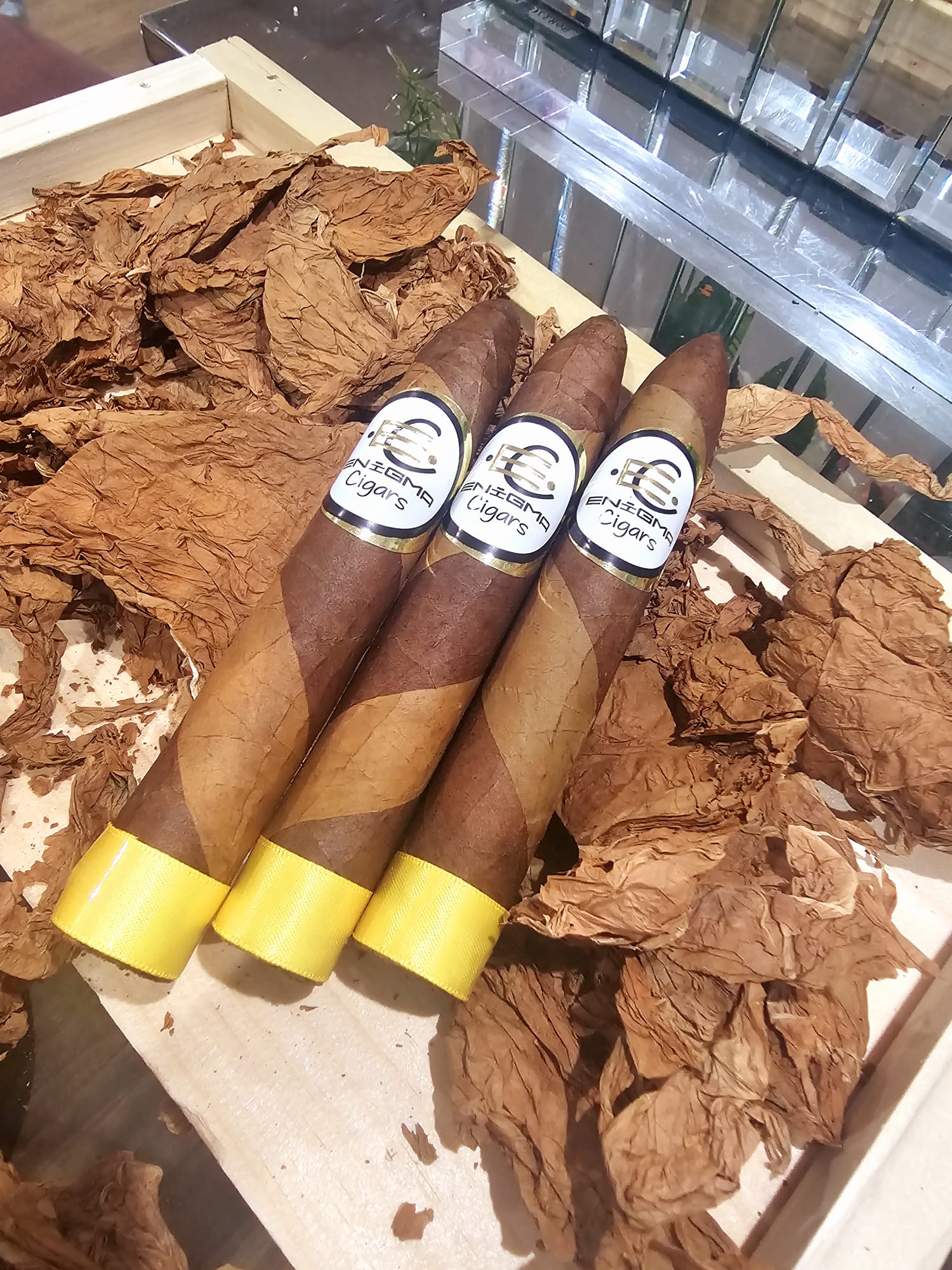 Torpedo Doble Capa Cigars