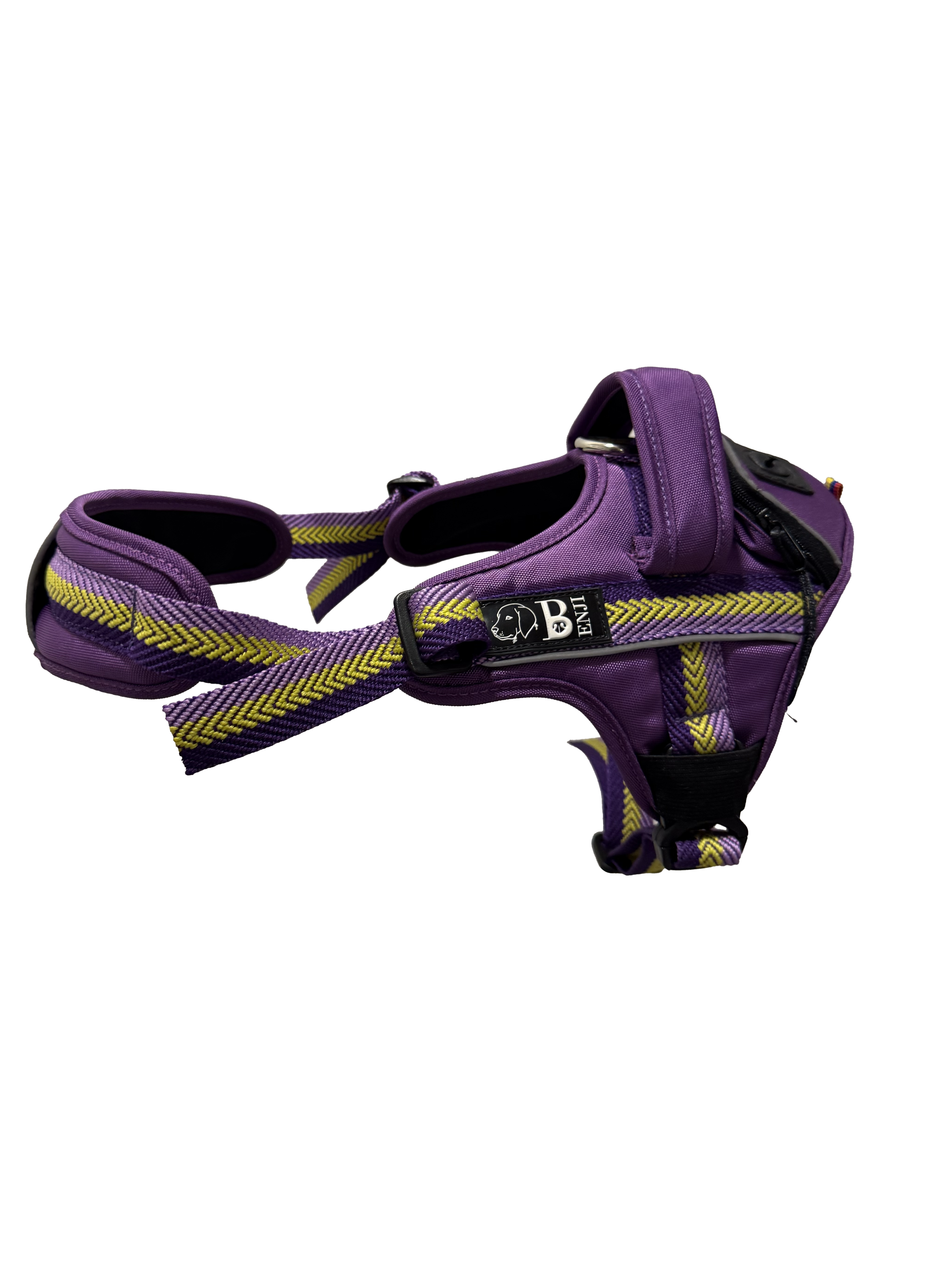 CARGO PURPLE D ARNES